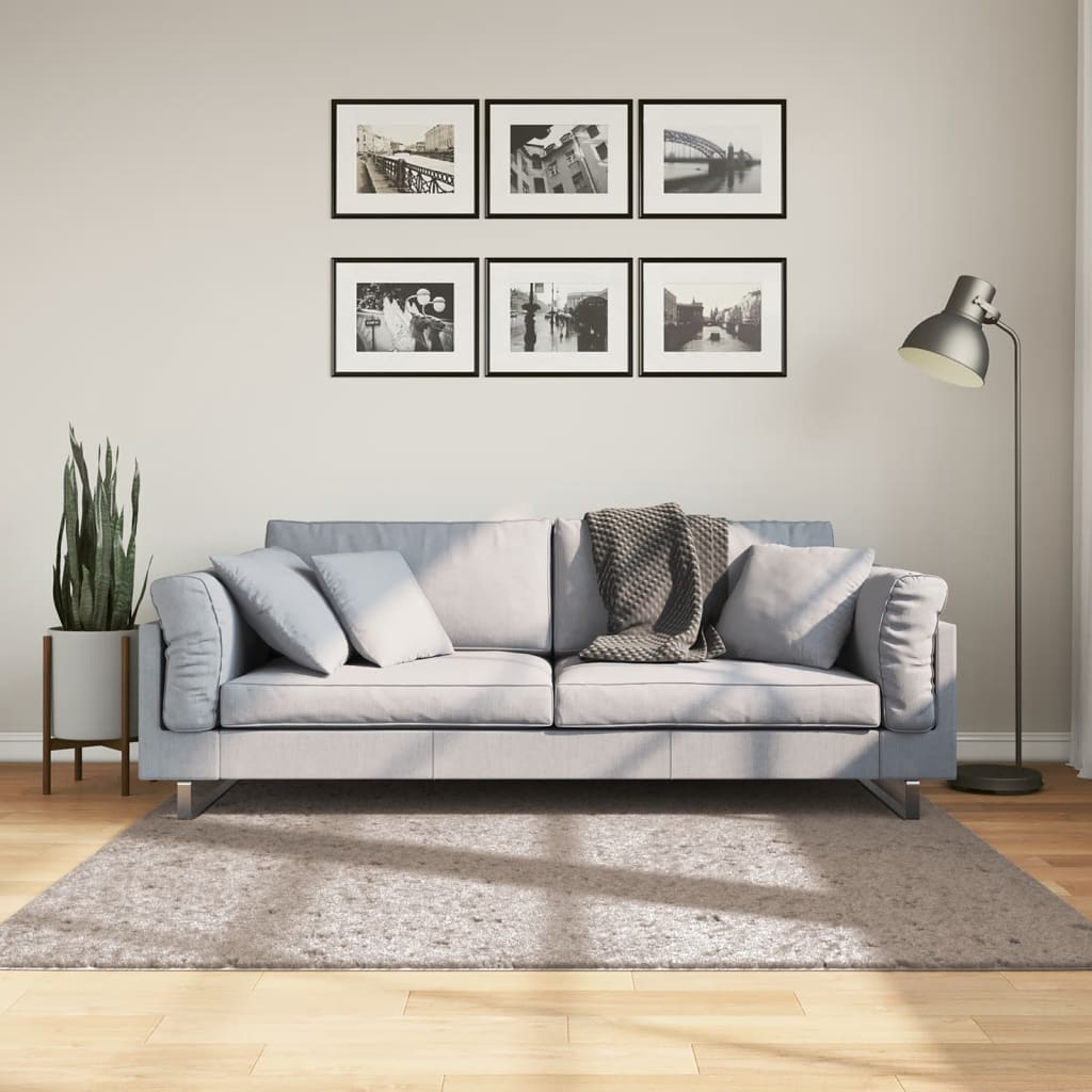 Shaggy Rug High Pile Modern Beige 160x160cm - The Home Maker