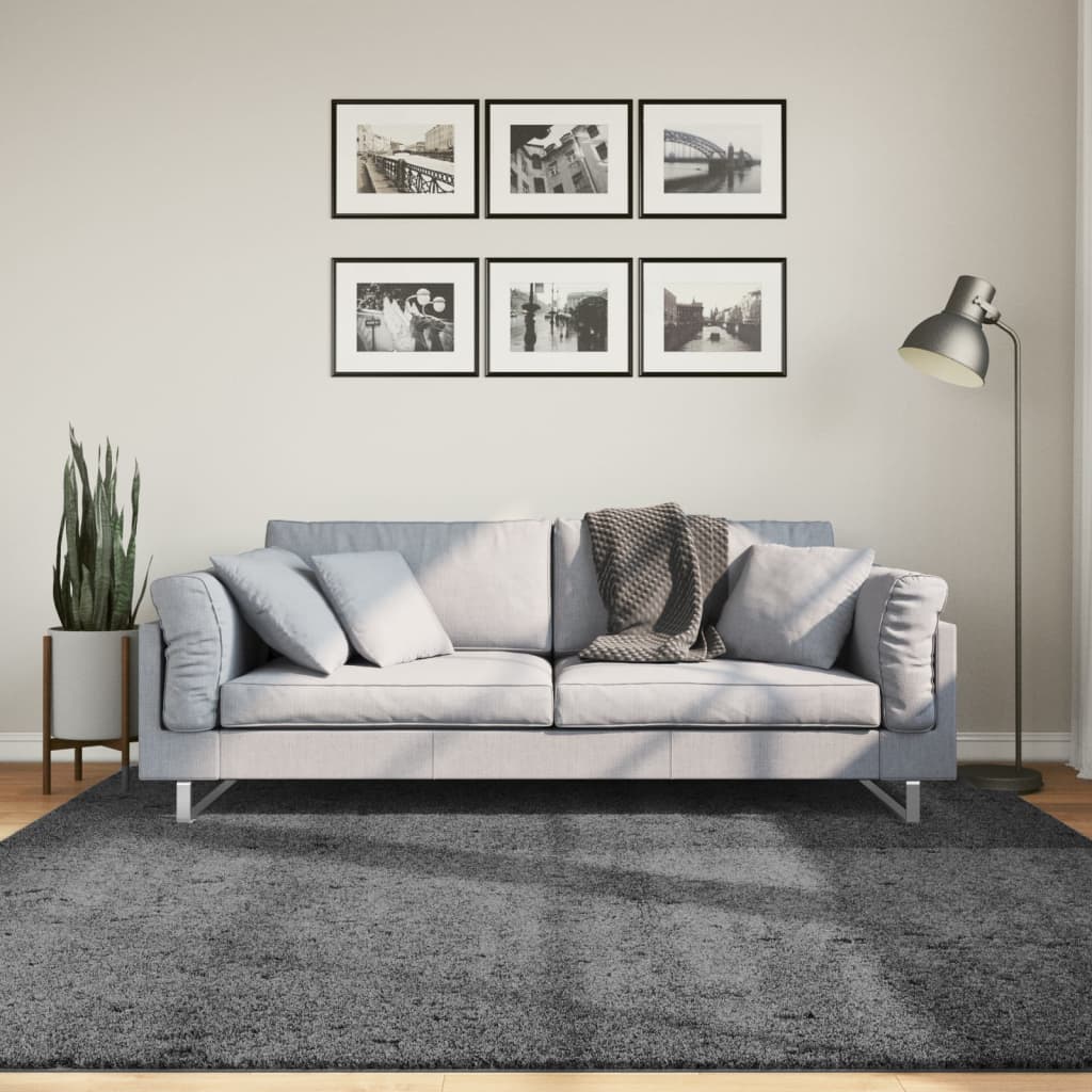 Rug OVIEDO Short Pile Anthracite 200x200 cm - Charlotte Dunes