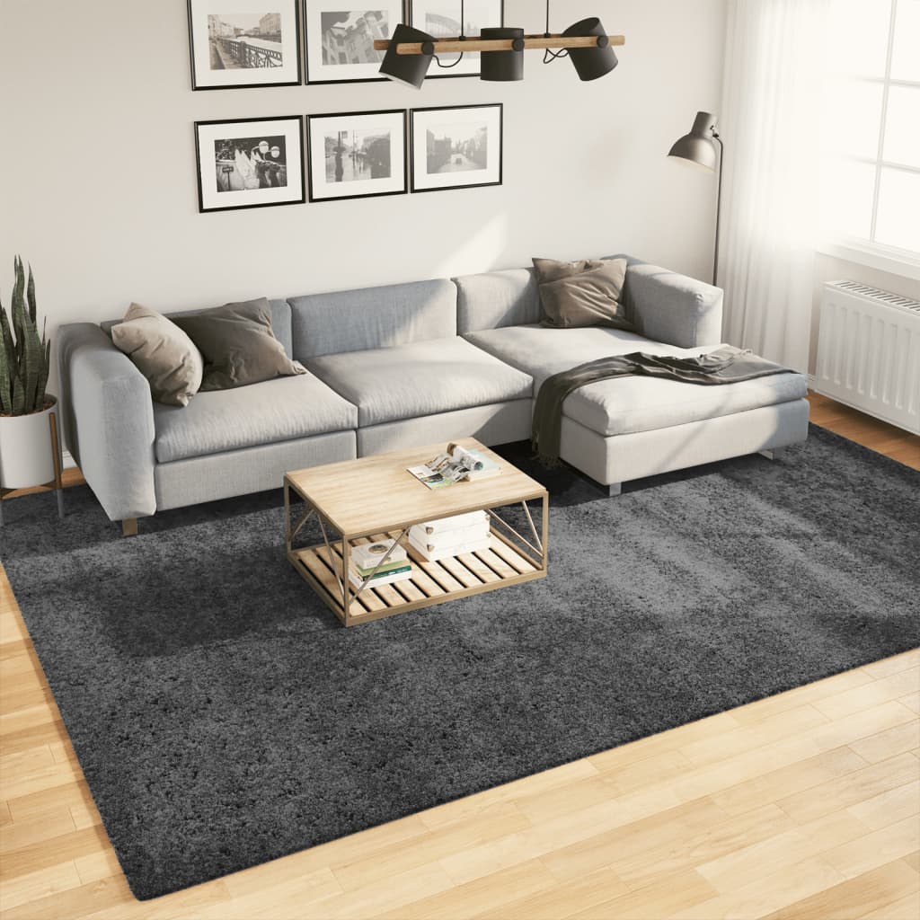 Rug OVIEDO Short Pile Anthracite 240x340 cm - Style and Chic