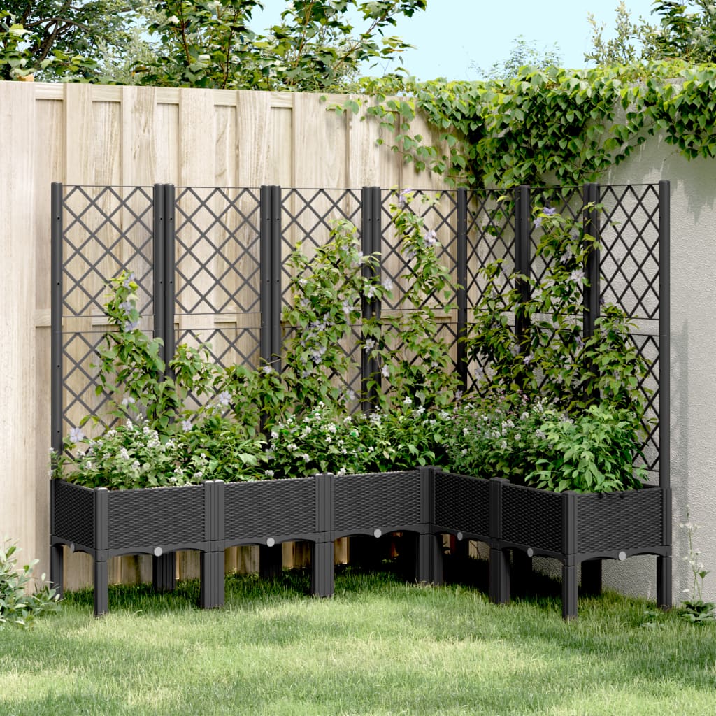 Garden Planter with Trellis Black 160x120x142 cm PP - Charlotte Dunes