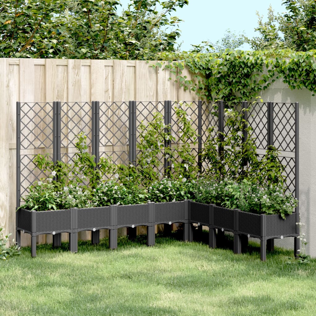 Garden Planter with Trellis Black 200x160x142 cm PP - Charlotte Dunes