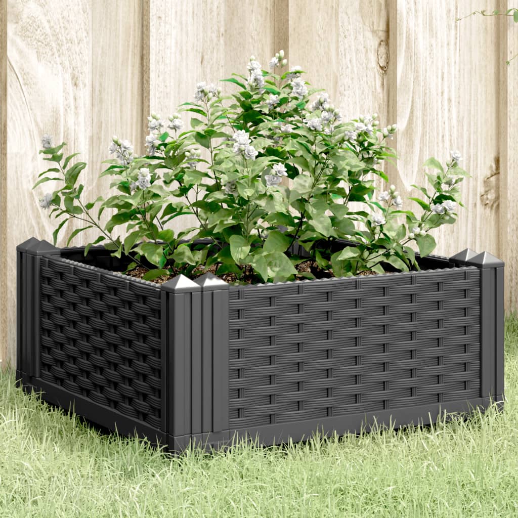 Garden Planter with Pegs Black 42.5x42.5x28.5 cm PP - Charlotte Dunes