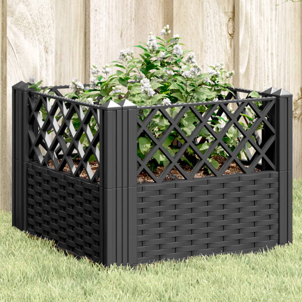 Garden Planter with Pegs Black 43.5x43.5x43.5 cm PP - Design Hut