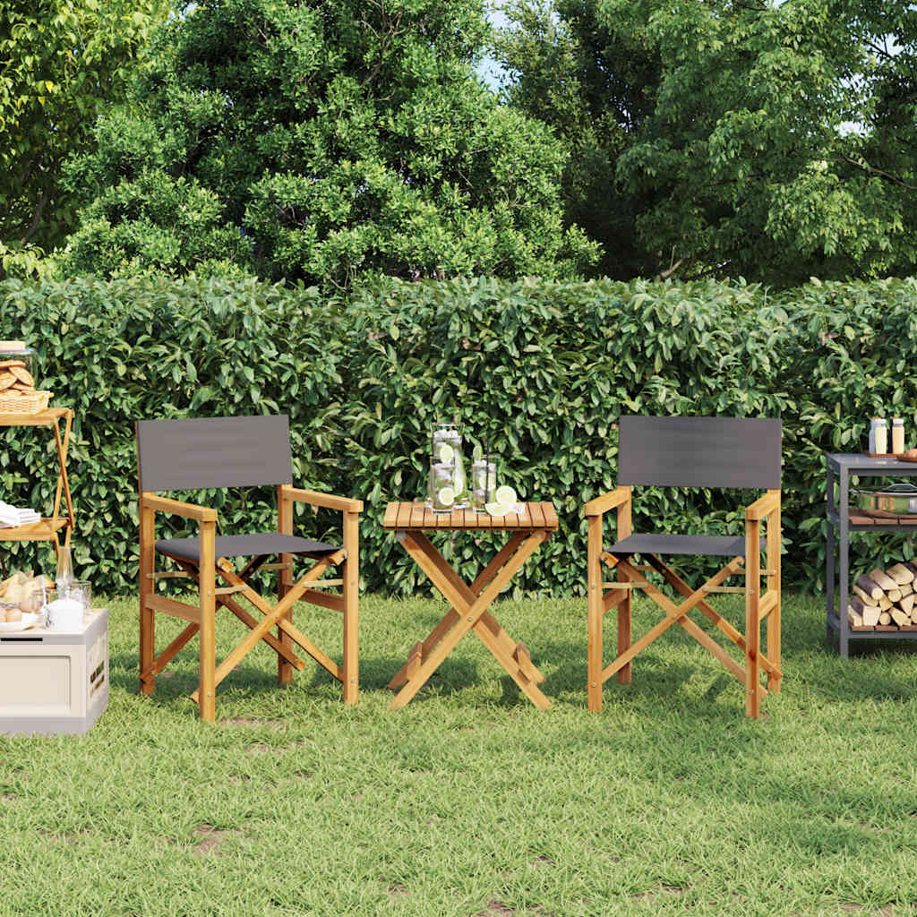 Folding Director's Chairs 2 pcs Grey Solid Wood Teak - Charlotte Dunes