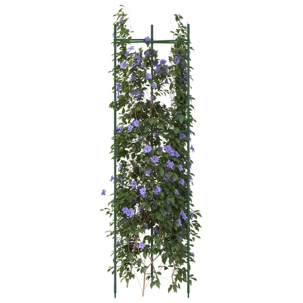 Tomato Cage 2 pcs 116 cm Steel and PP - Charlotte Dunes
