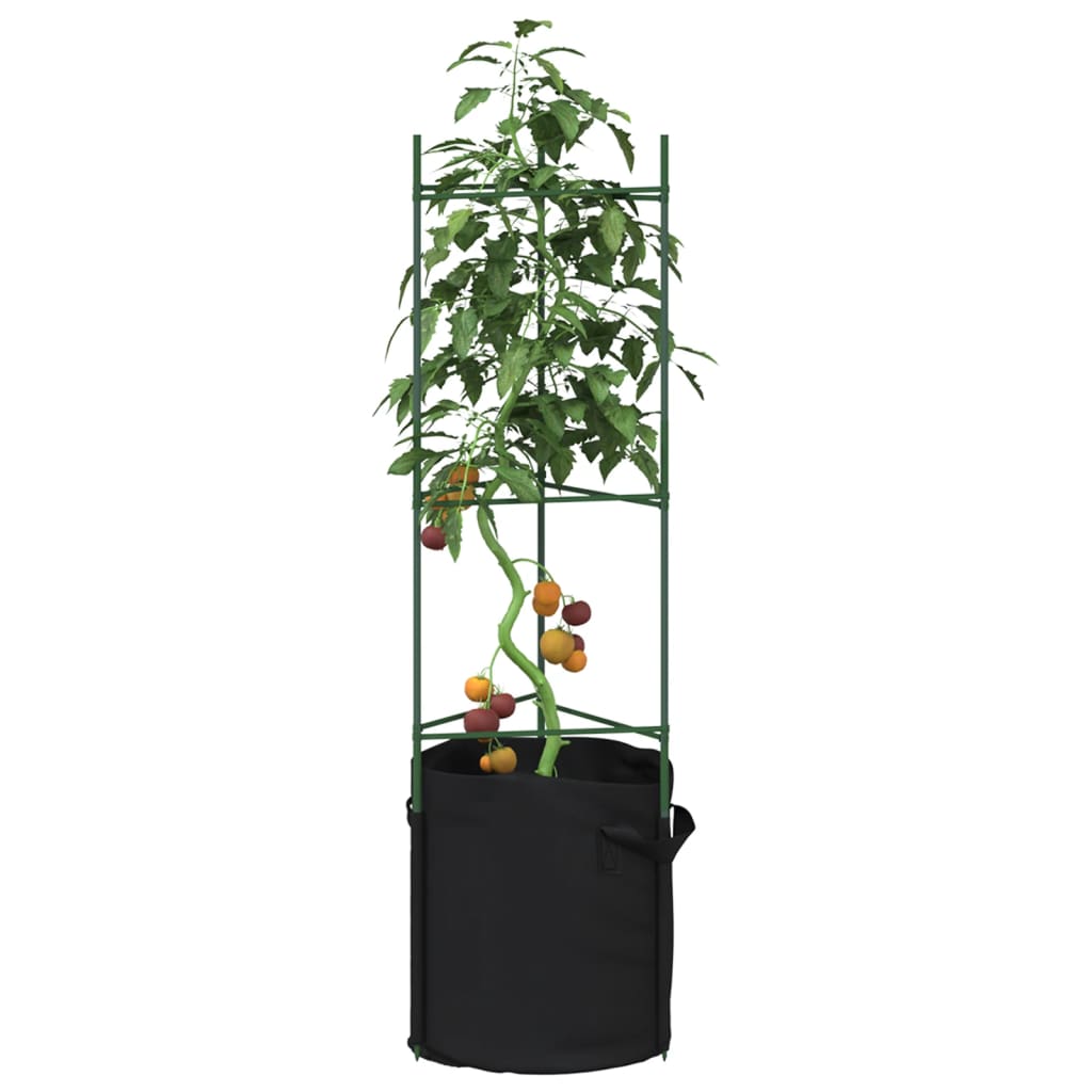 Tomato Cage with Plant Bag 2 pcs 116 cm Steel and PP - Charlotte Dunes
