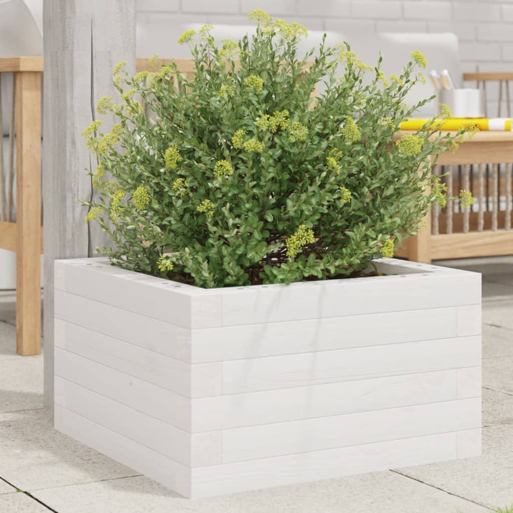 Garden Planter White 40x40x23 cm Solid Wood Pine - Charlotte Dunes