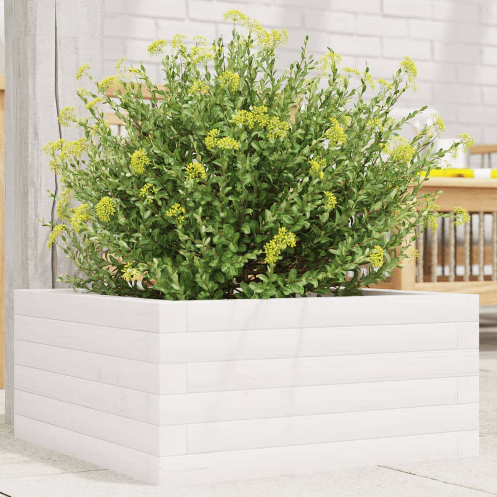 Garden Planter White 50x50x23 cm Solid Wood Pine - Charlotte Dunes