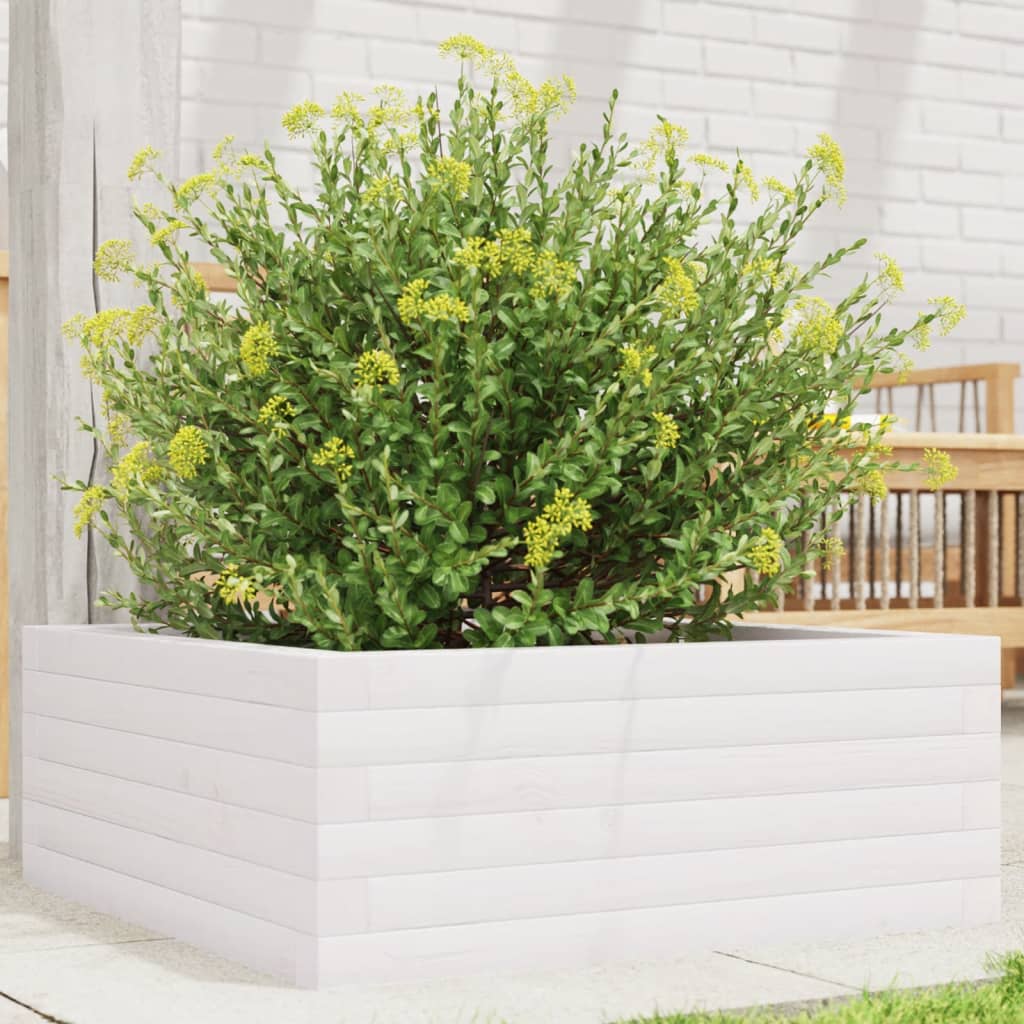 Garden Planter White 60x60x23 cm Solid Wood Pine - Charlotte Dunes