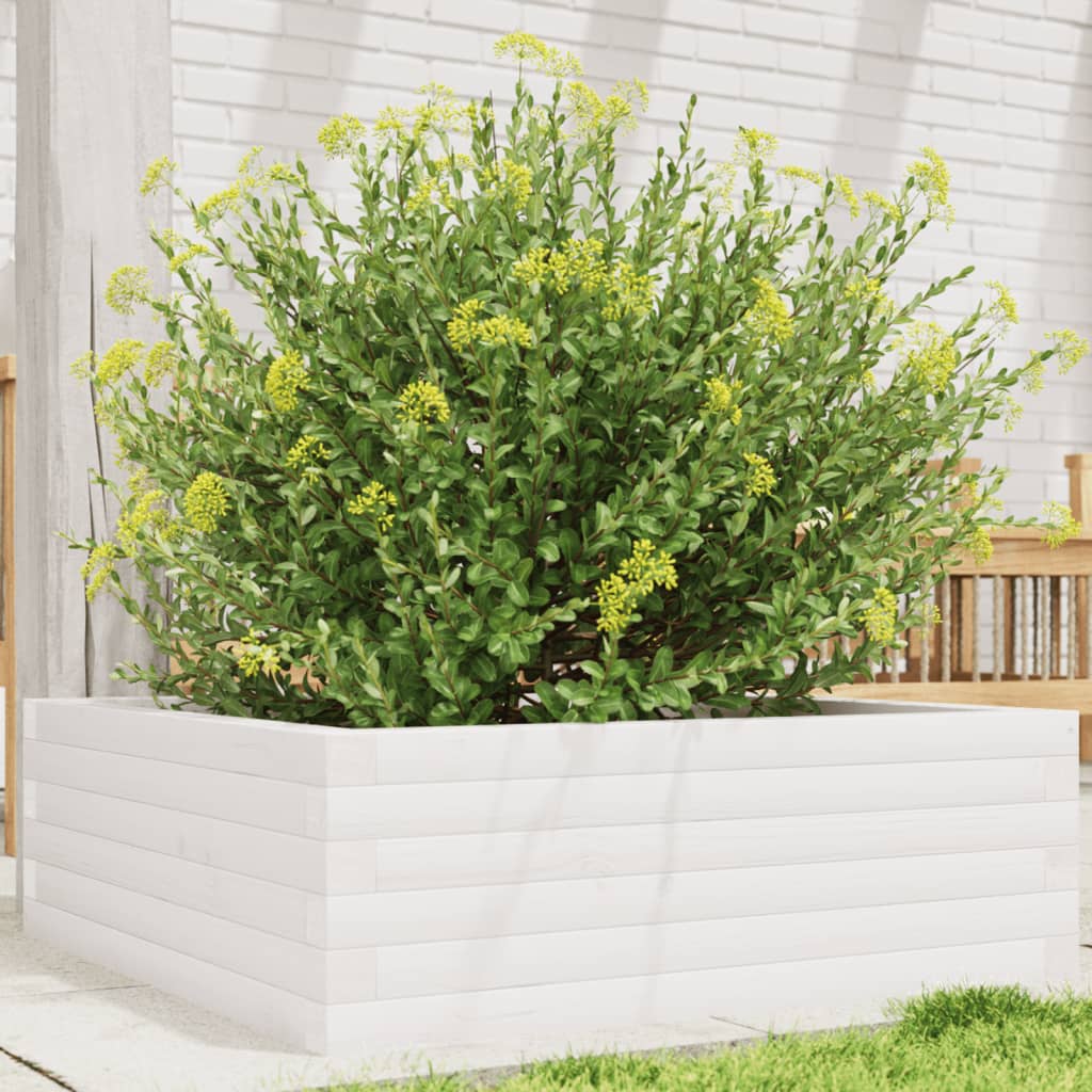 Garden Planter White 70x70x23 cm Solid Wood Pine - Charlotte Dunes