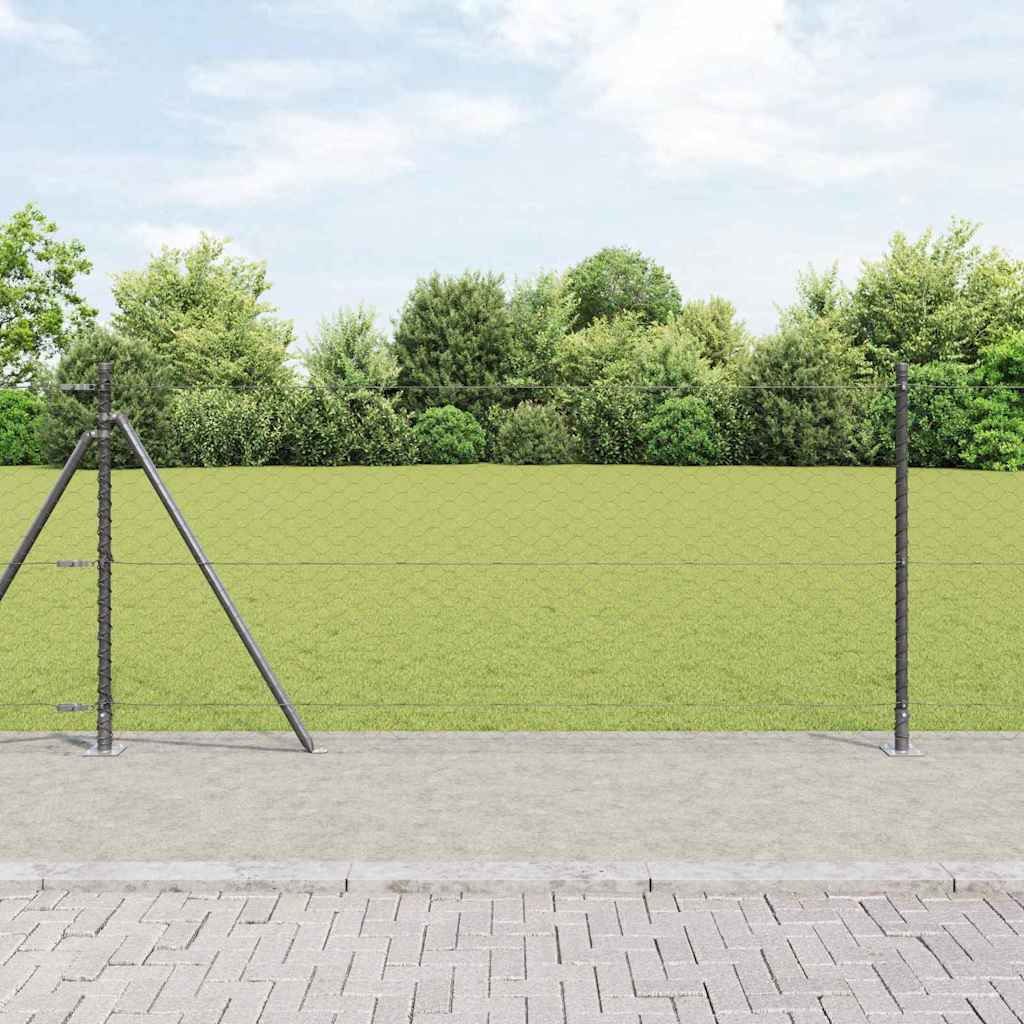 Hexagon Fence Grey 1x100 m Steel - Tyrell & Tyrell