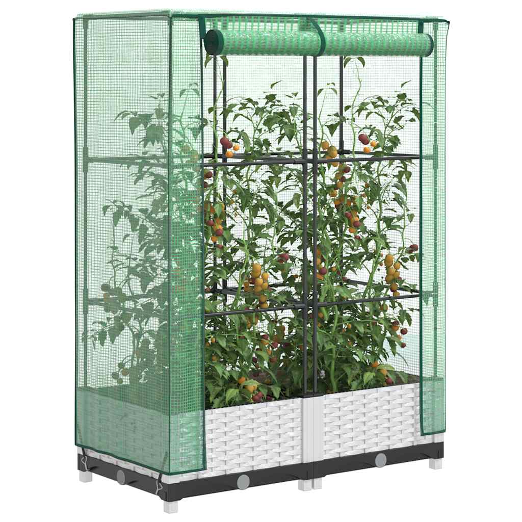 LIPARK Raised Bed with Greenhouse Cover Look 80x40x123 cm Rattan - Design Hut