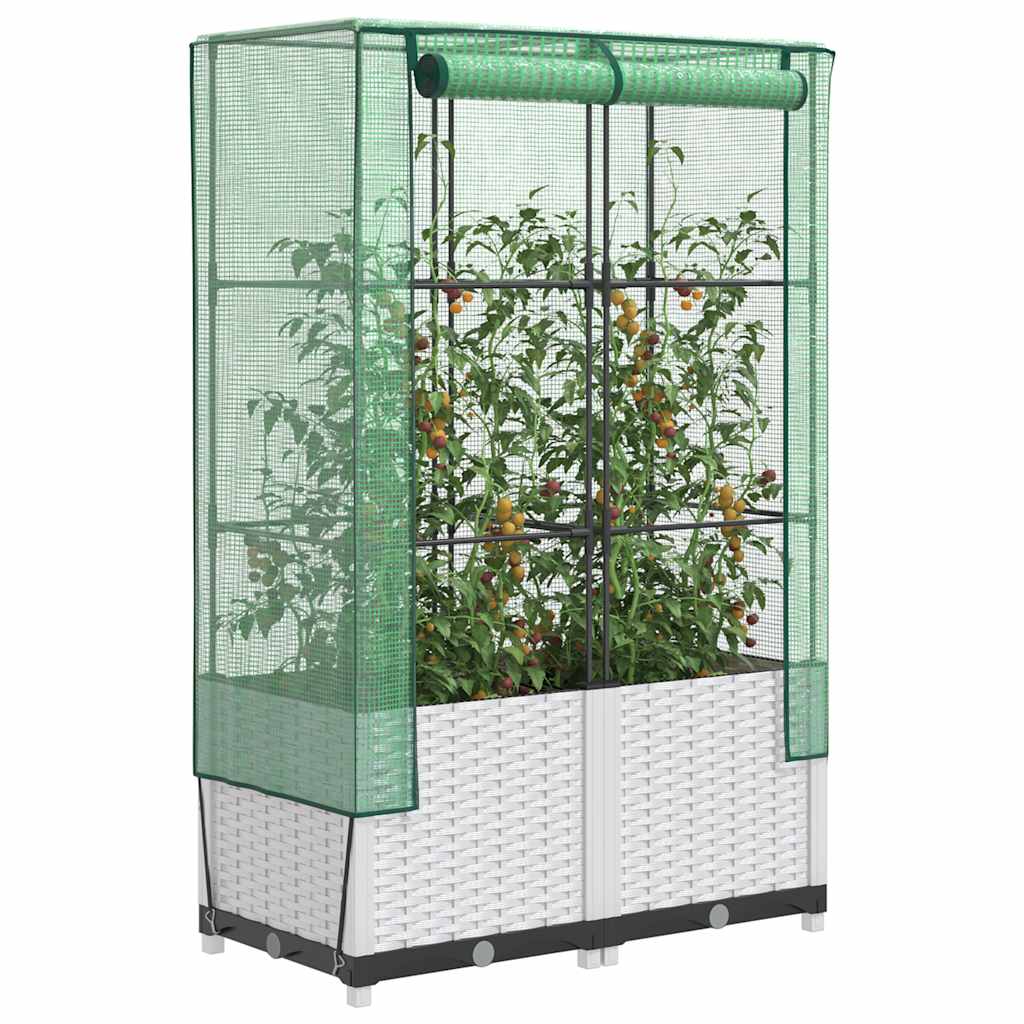 LIPARK Raised Bed with Greenhouse Cover Look 80x40x138 cm Rattan - Design Hut