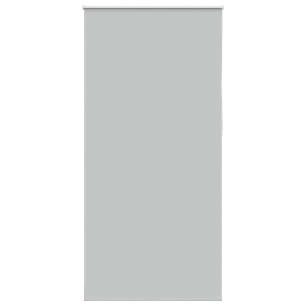 Roller Blind Blackout Light Grey 115x210 cm Fabric Width 110.7 cm Polyester - Charlotte Dunes