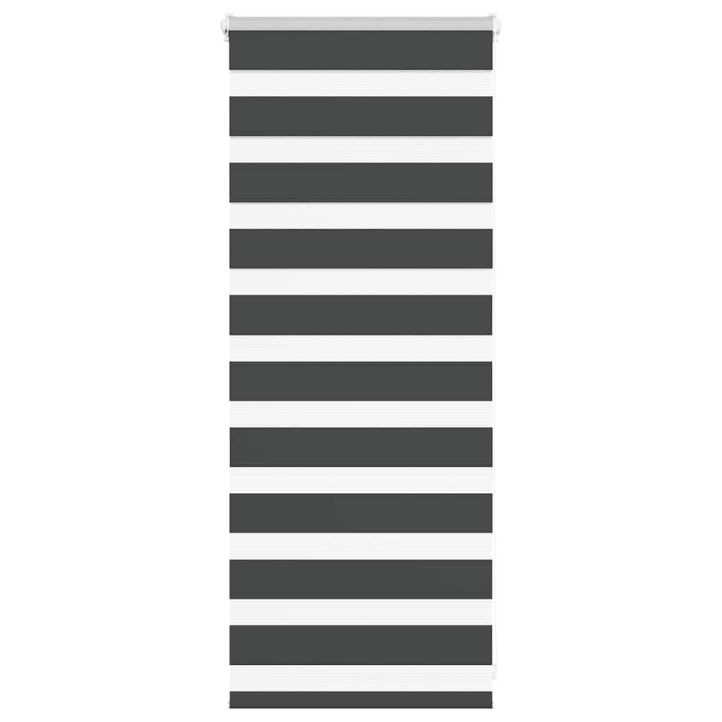 Zebra Blind Black 60x100 cm Fabric Width 55.9 cm Polyester - Charlotte Dunes