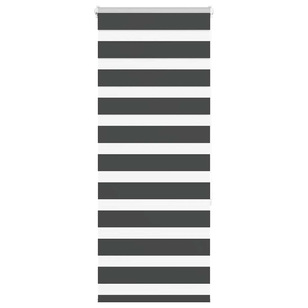 Zebra Blind Black 60x150 cm Fabric Width 55.9 cm Polyester - Charlotte Dunes