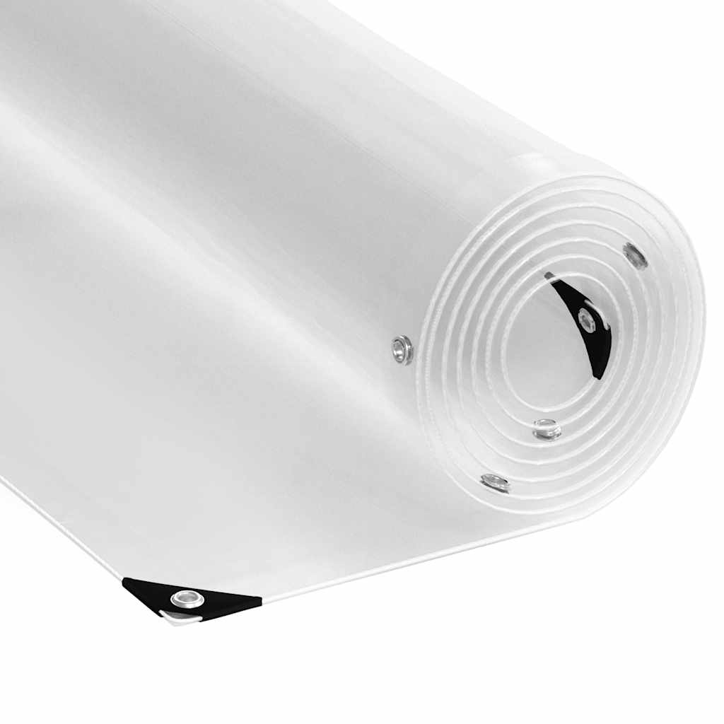 Clear Tarpaulin with Eyelets 3x4 m PVC - R and M Furniture
