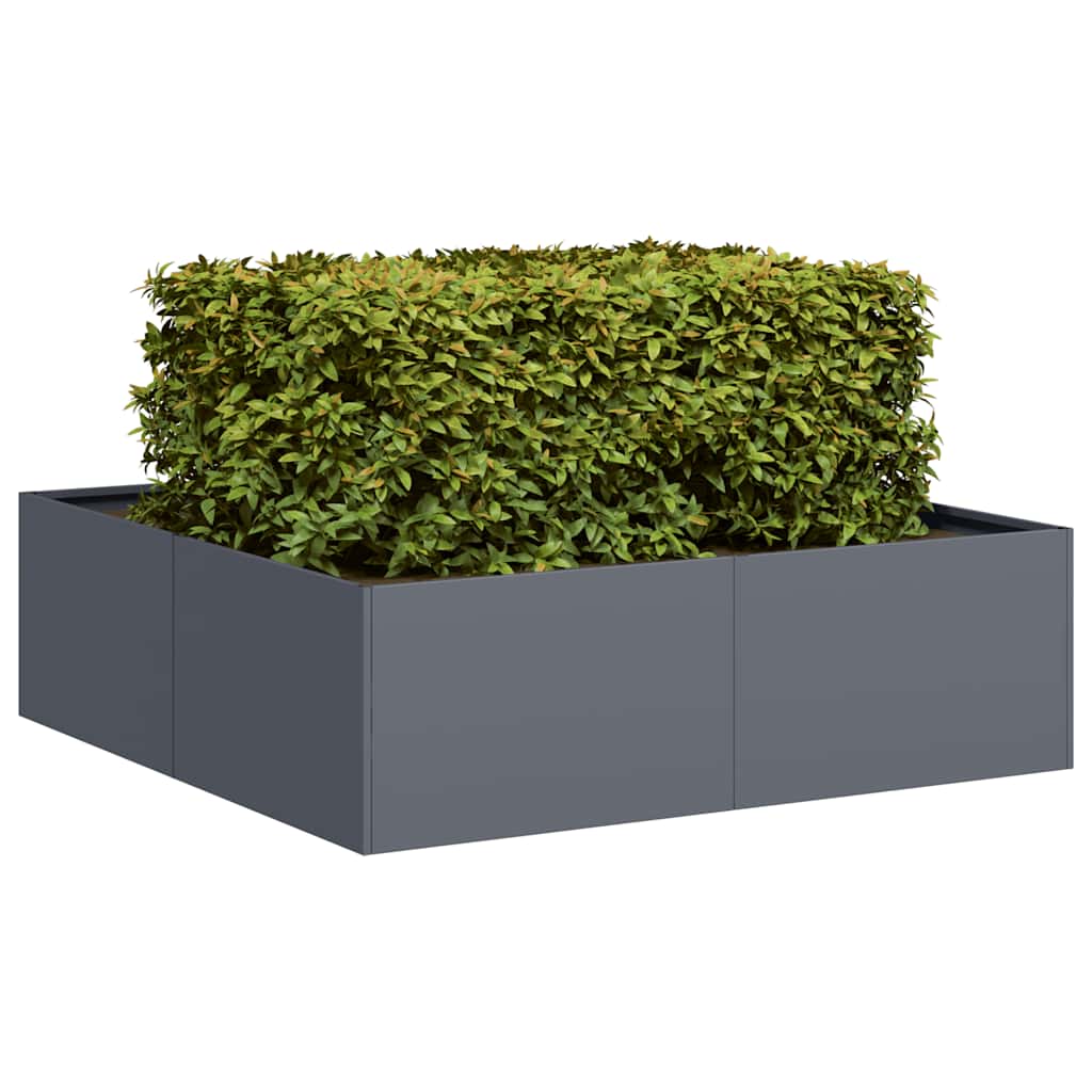 Planter Anthracite 100x100x30 cm Steel - Style and Chic