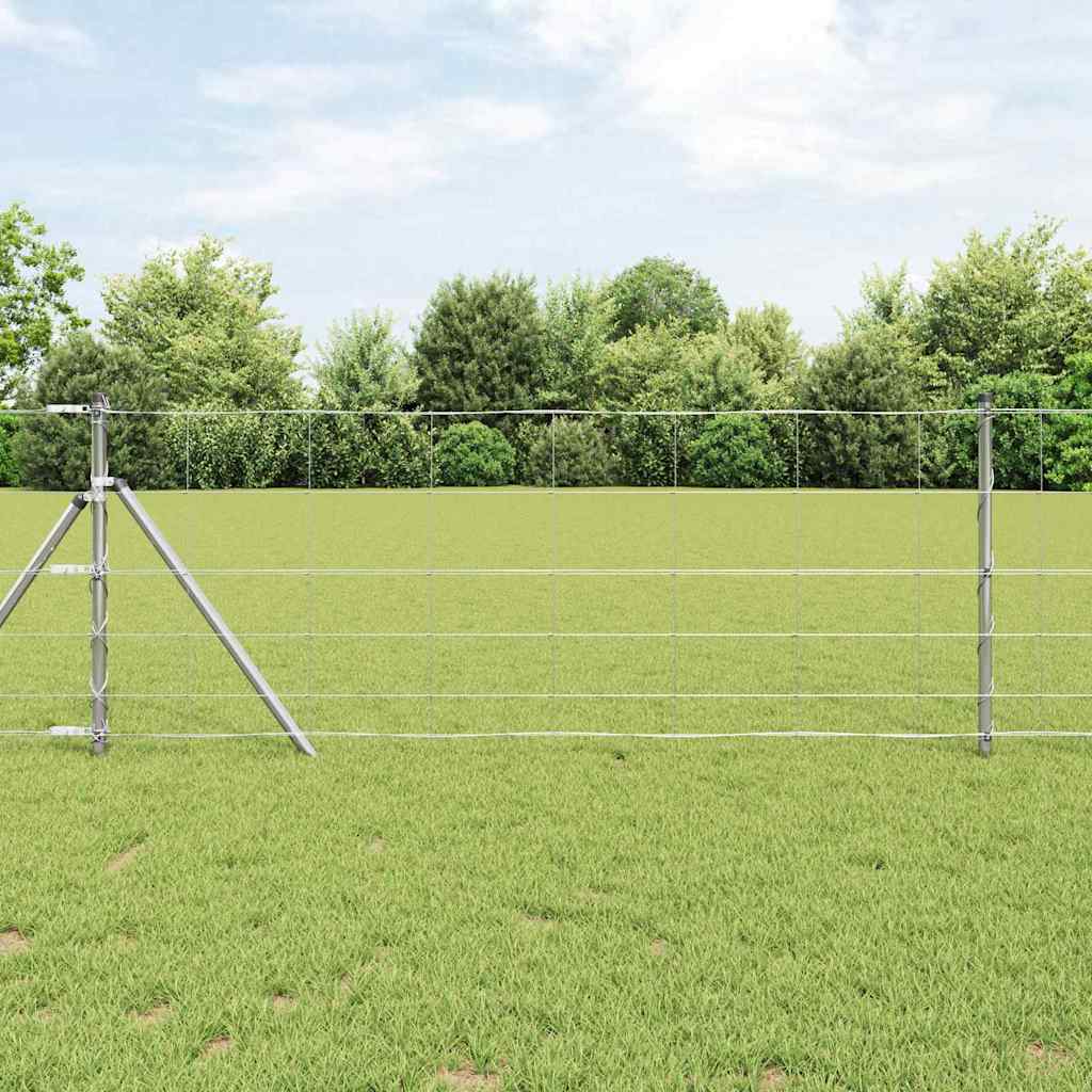 Field Fence 0.8x50 m Galvanised Steel - Charlotte Dunes