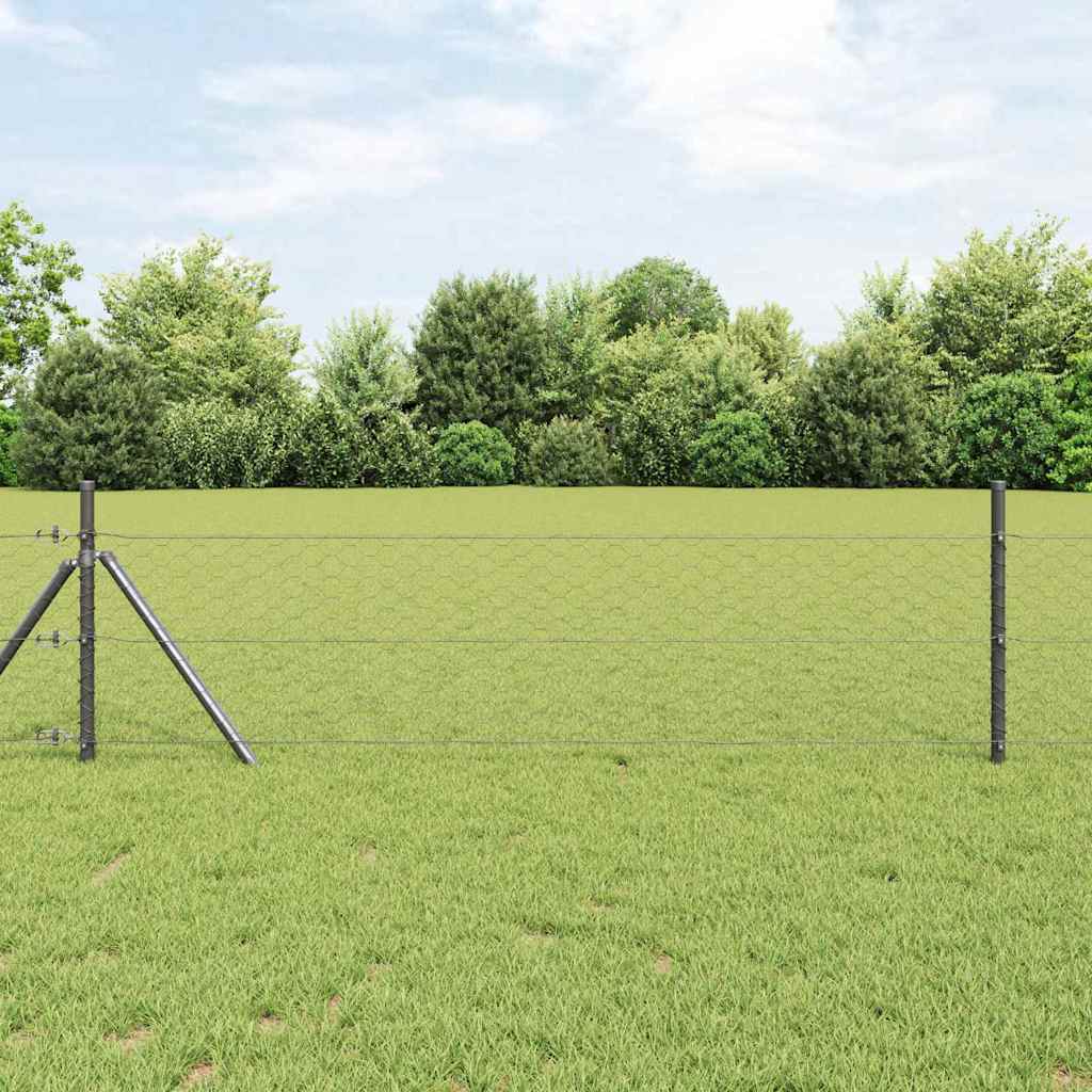 Hexagon Fence Grey 1x100 m Steel - Decor Base