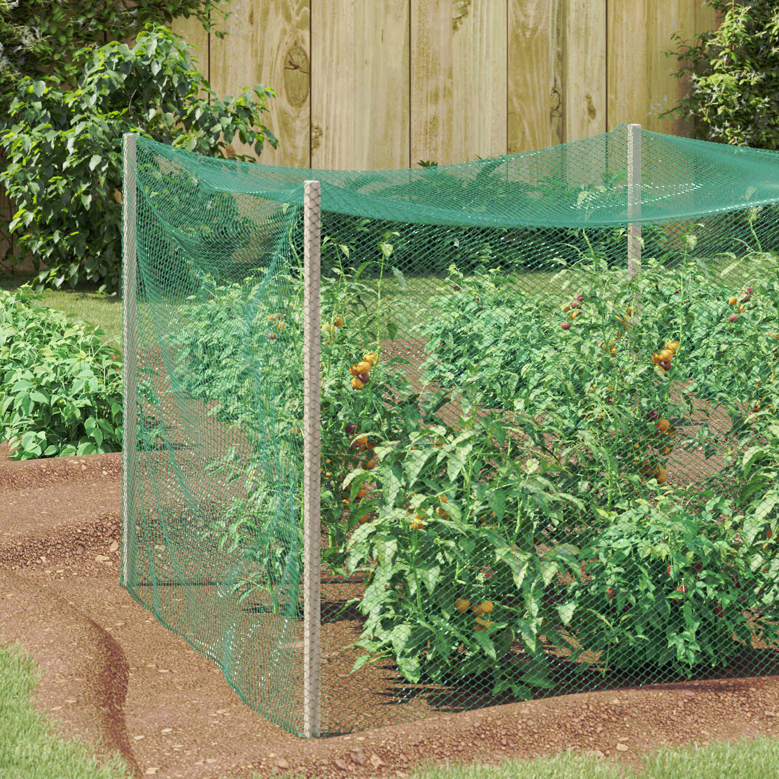 HIPARK Bird Protection Net 4x5 m Polyethylene - Green - Charlotte Dunes