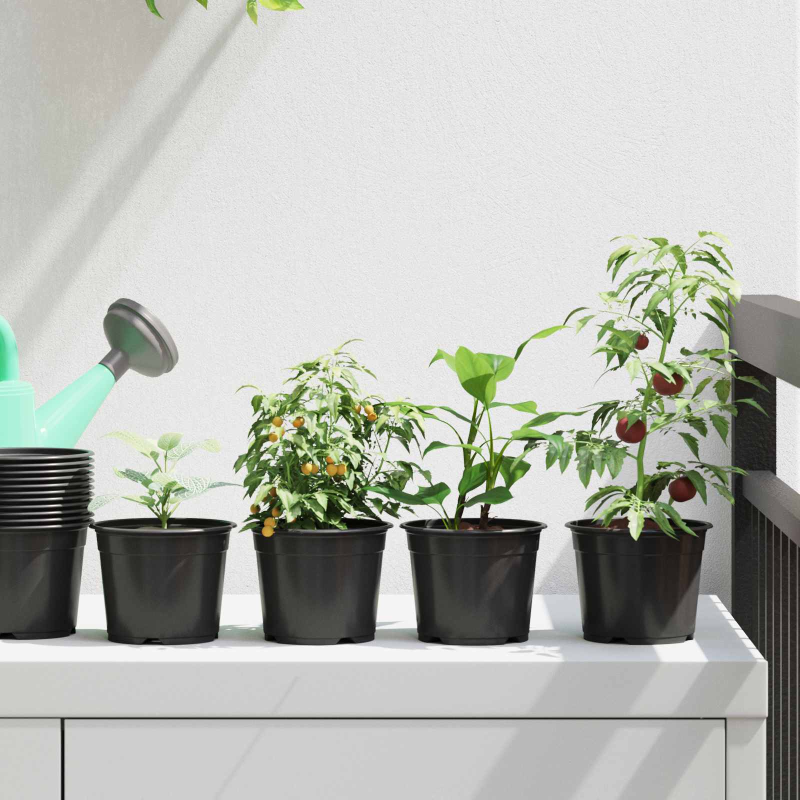 TOHVALE Flower Pot 50 pcs Dia 10x8 cm Plastic - Black - Design Hut