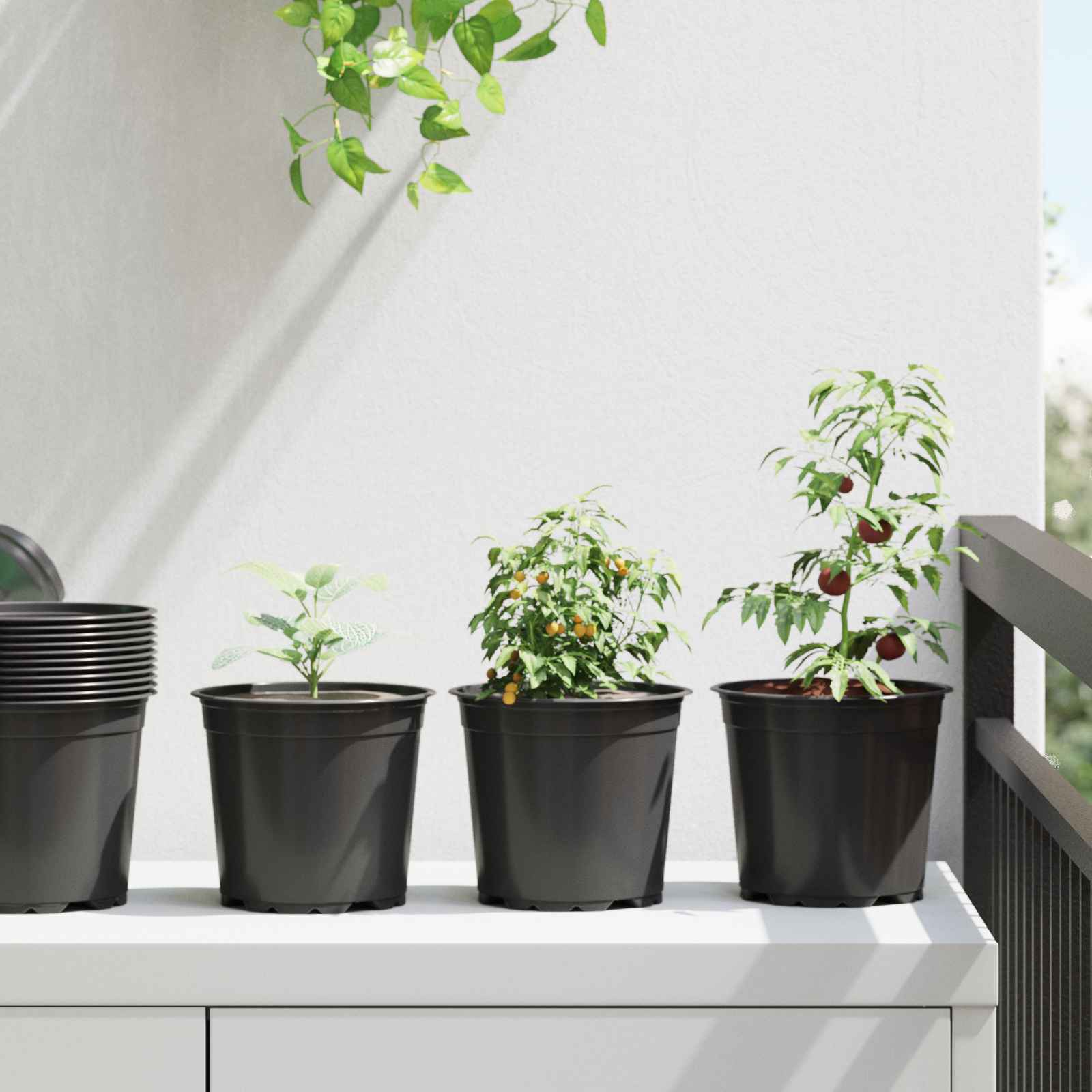 TOHVALE Flower Pot 200 pcs Dia 15x13 cm Plastic - Black - Design Hut