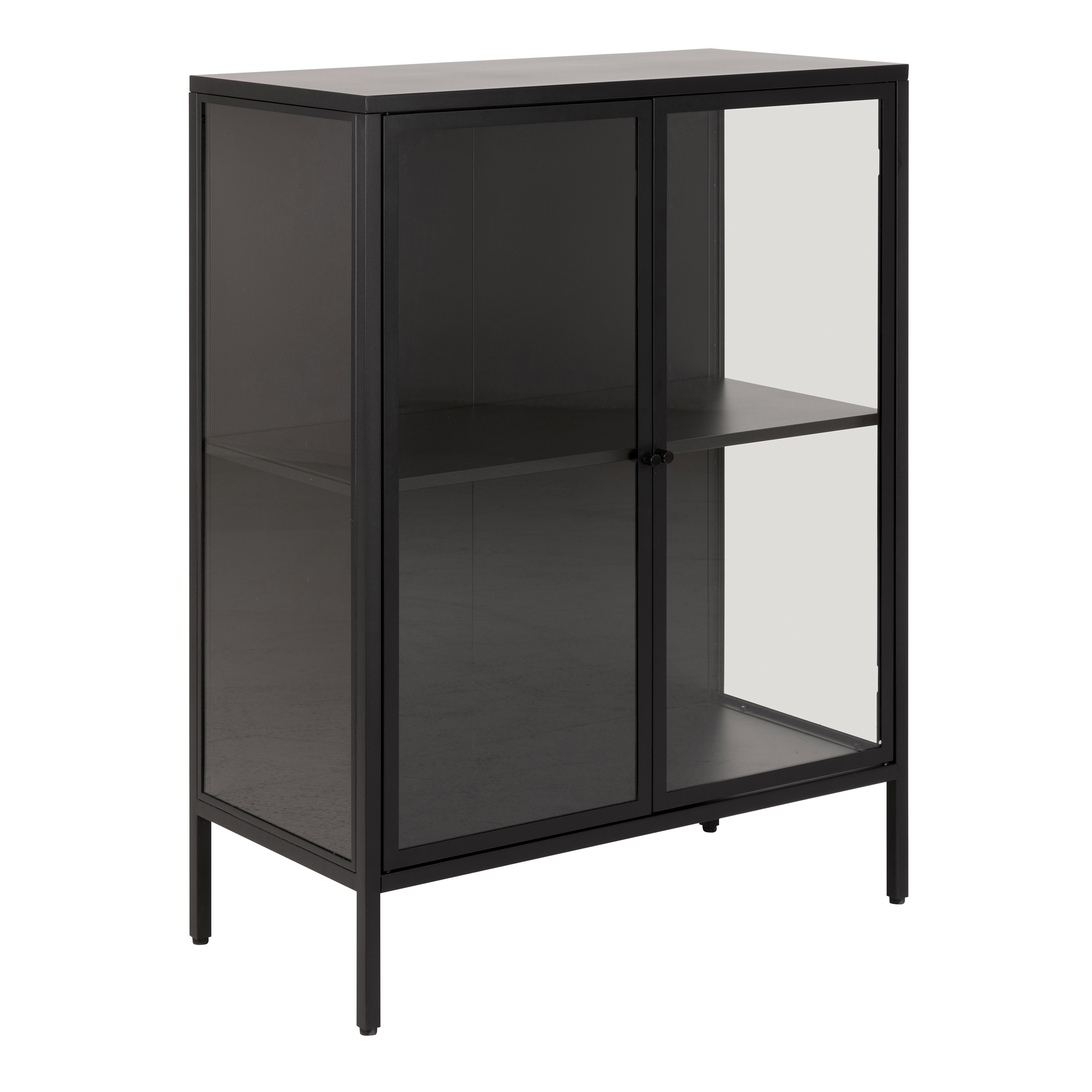 Newcastle Low 2 Door Display Cabinet in Matt Black - Rosalind Collection