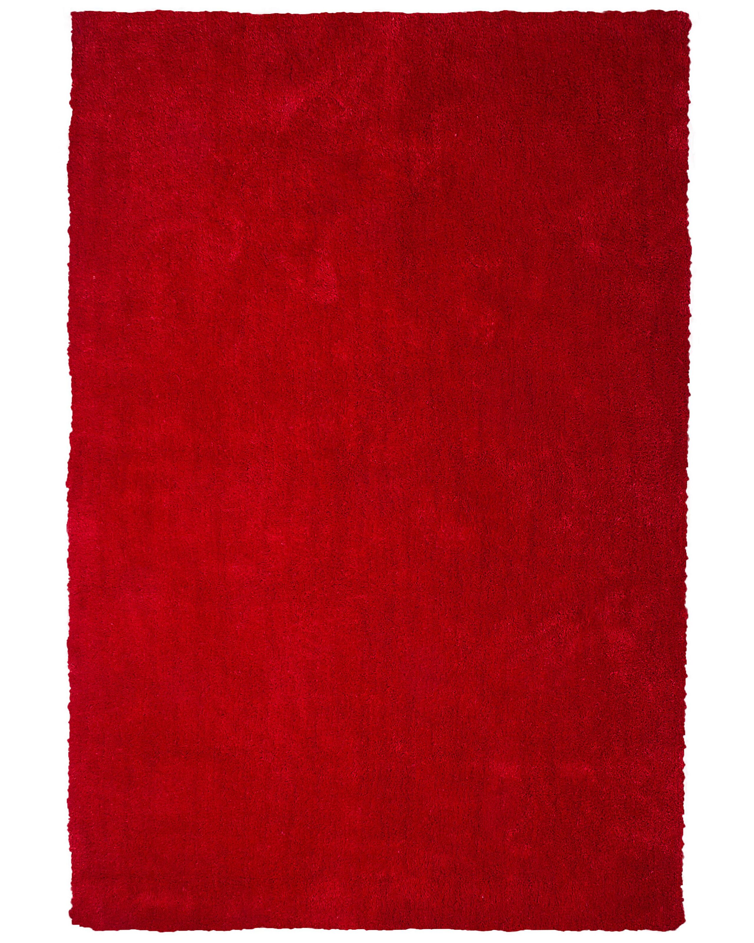 Shaggy Area Rug 200x300cm Red - Gemini Interiors