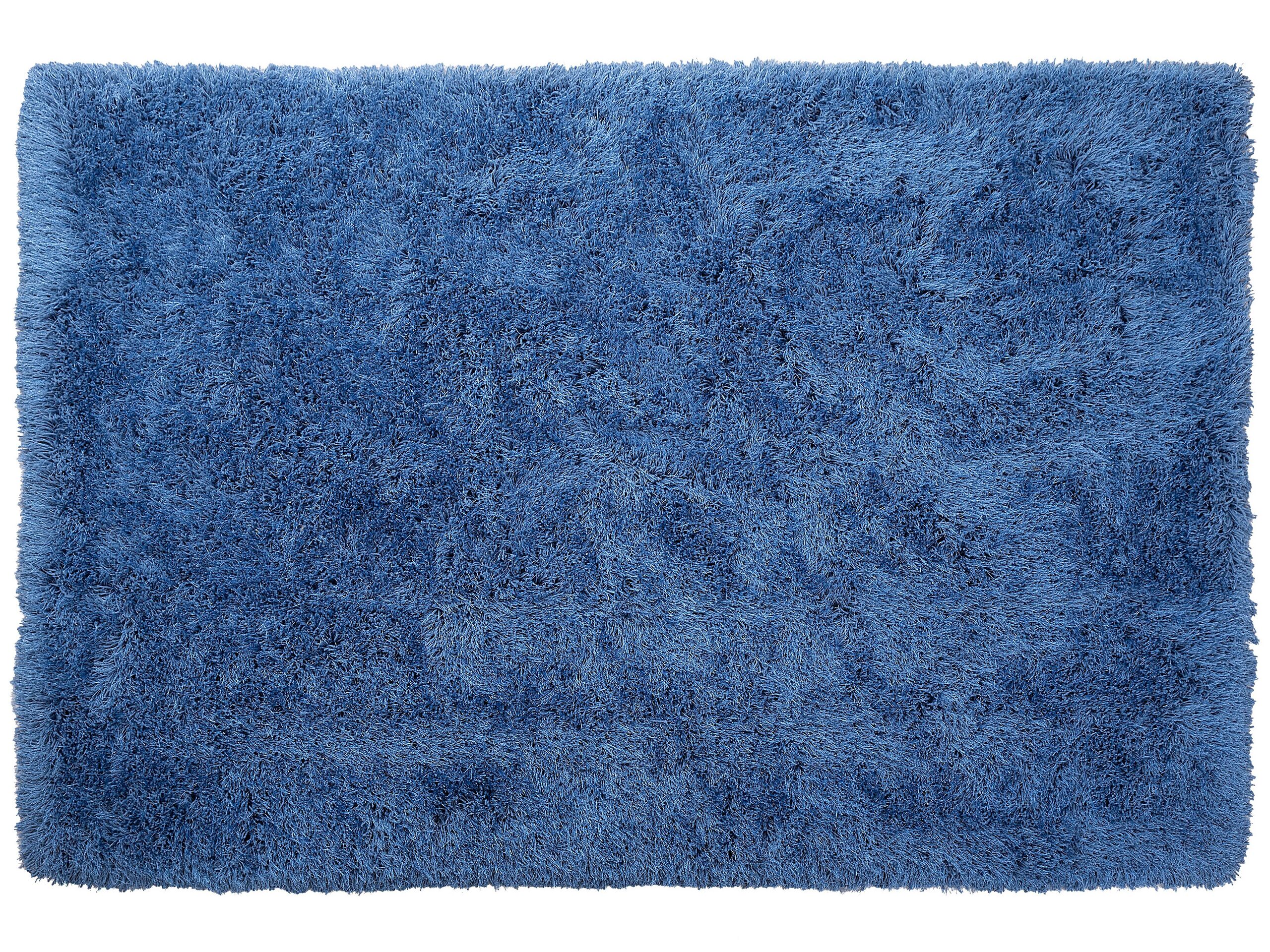 Shaggy Area Rug 200x300cm Blue - Gemini Interiors