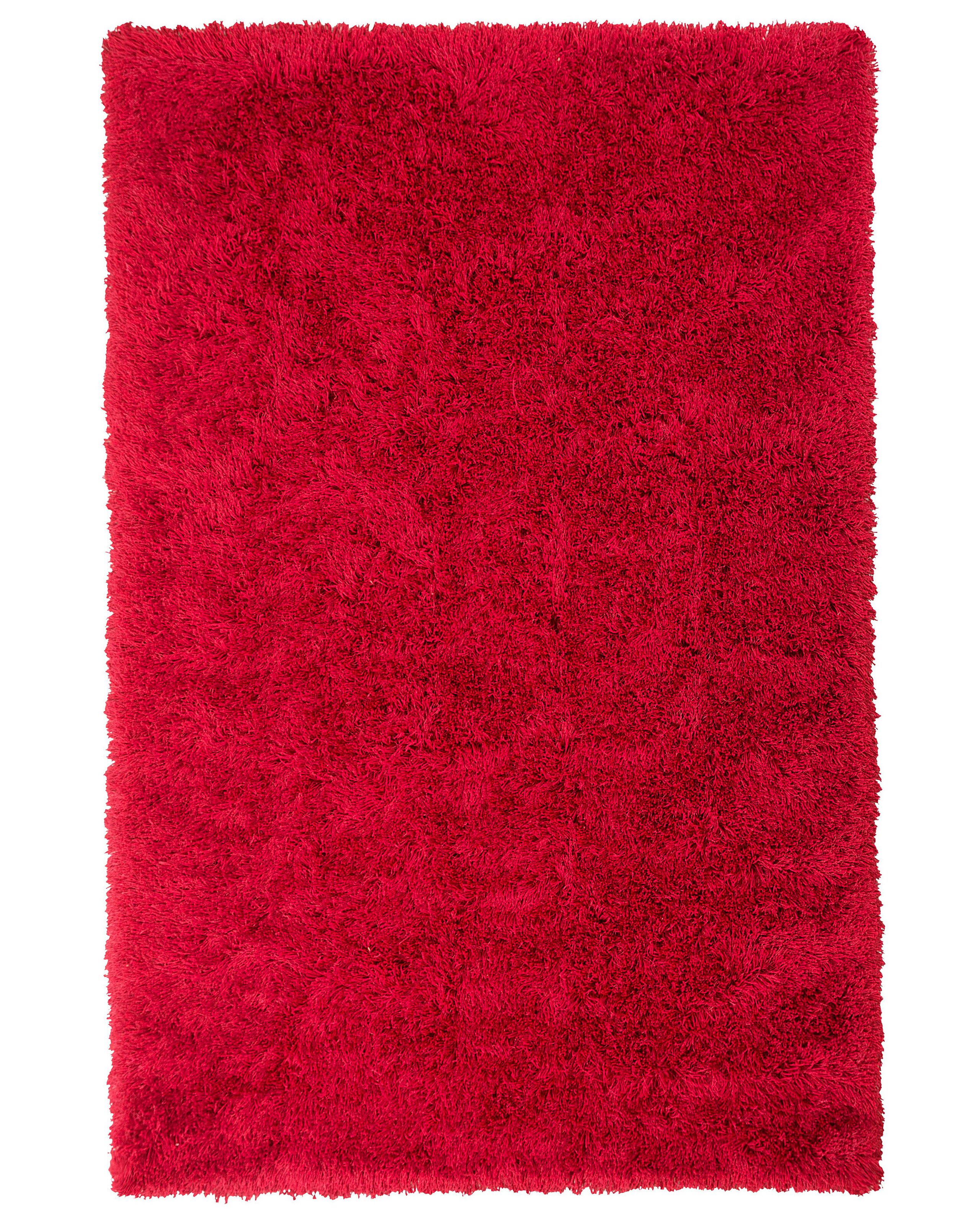 Shaggy Area Rug 200x300cm Red - Gemini Interiors