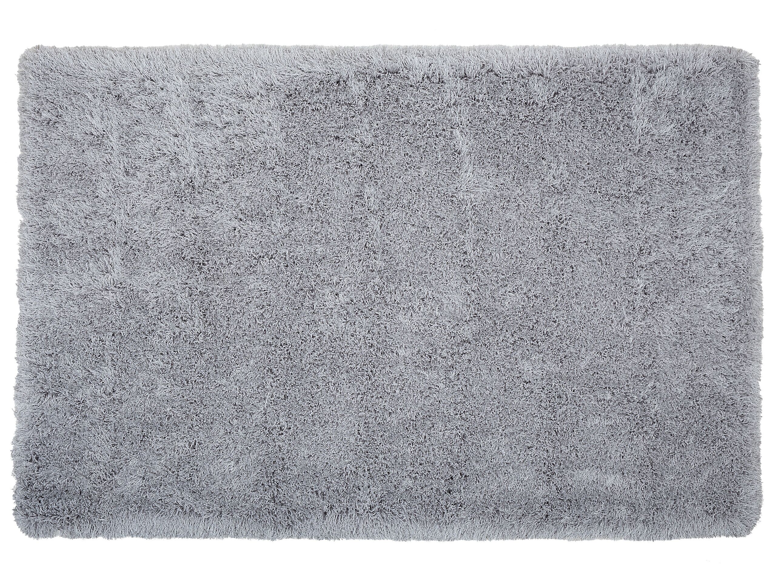 Shaggy Area Rug 200x300cm Grey - Gemini Interiors