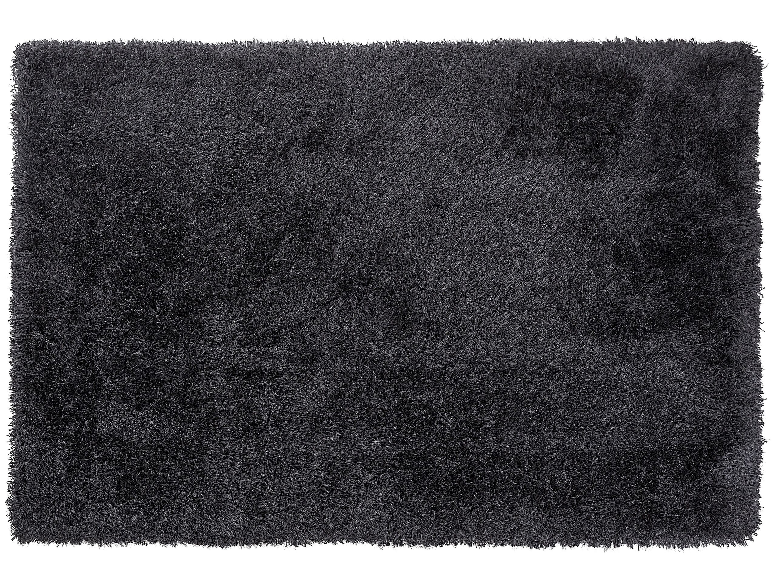 Shaggy Area Rug 200x300cm Black - Gemini Interiors