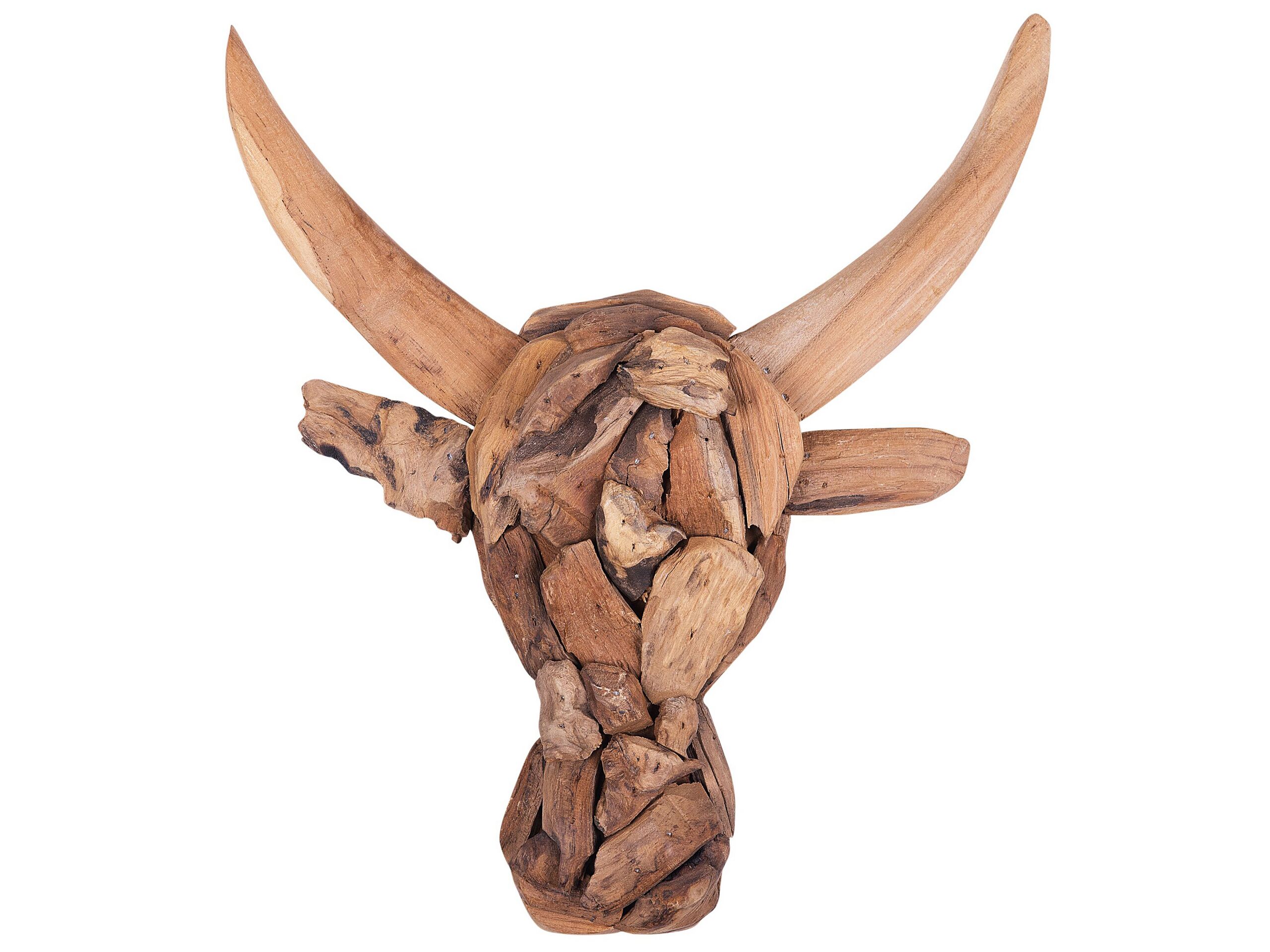 Decorative Sculpture Light Wood BULL HEAD - Gemini Interiors