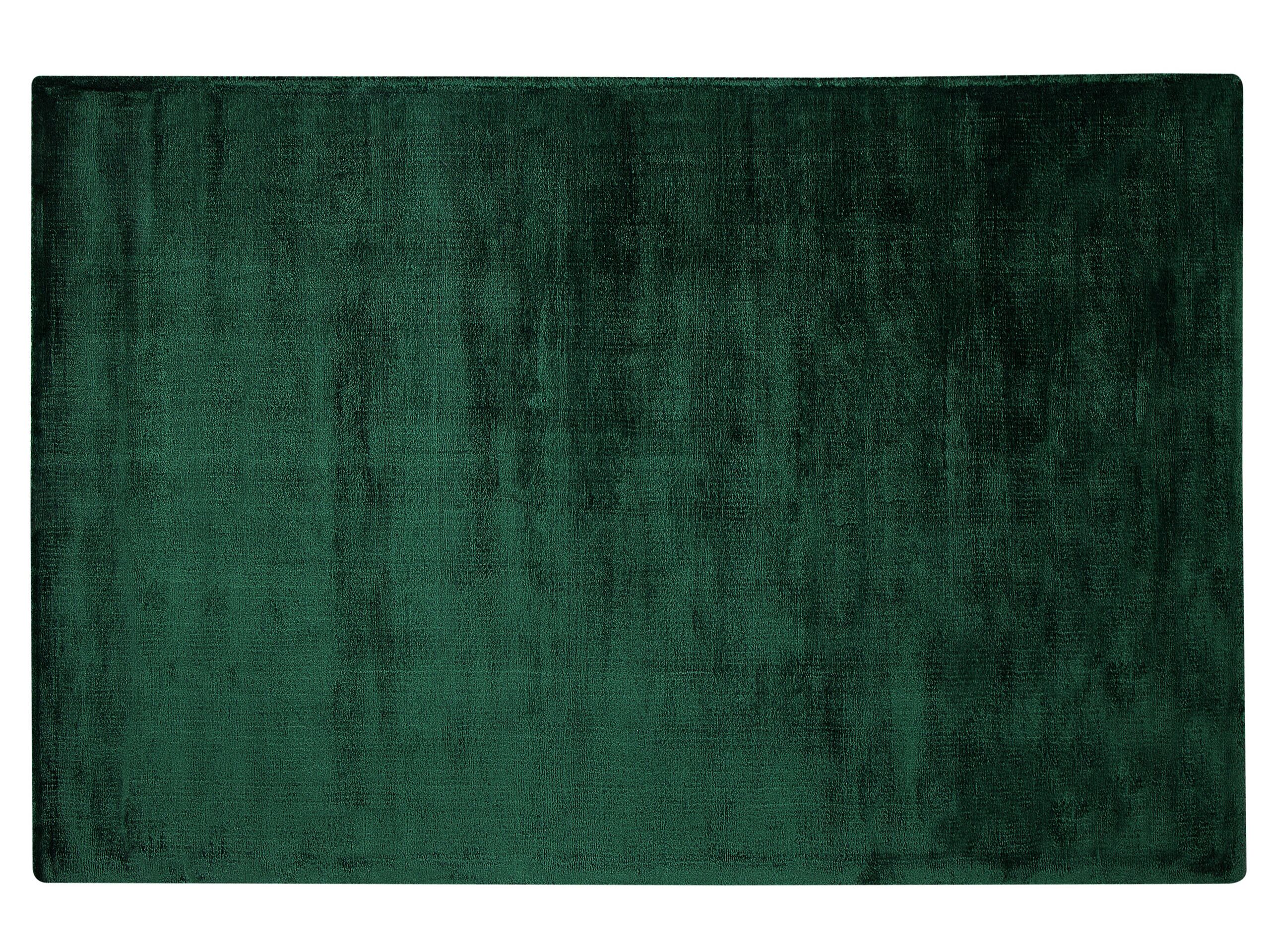 Viscose Area Rug 140x200cm Green - Gemini Interiors