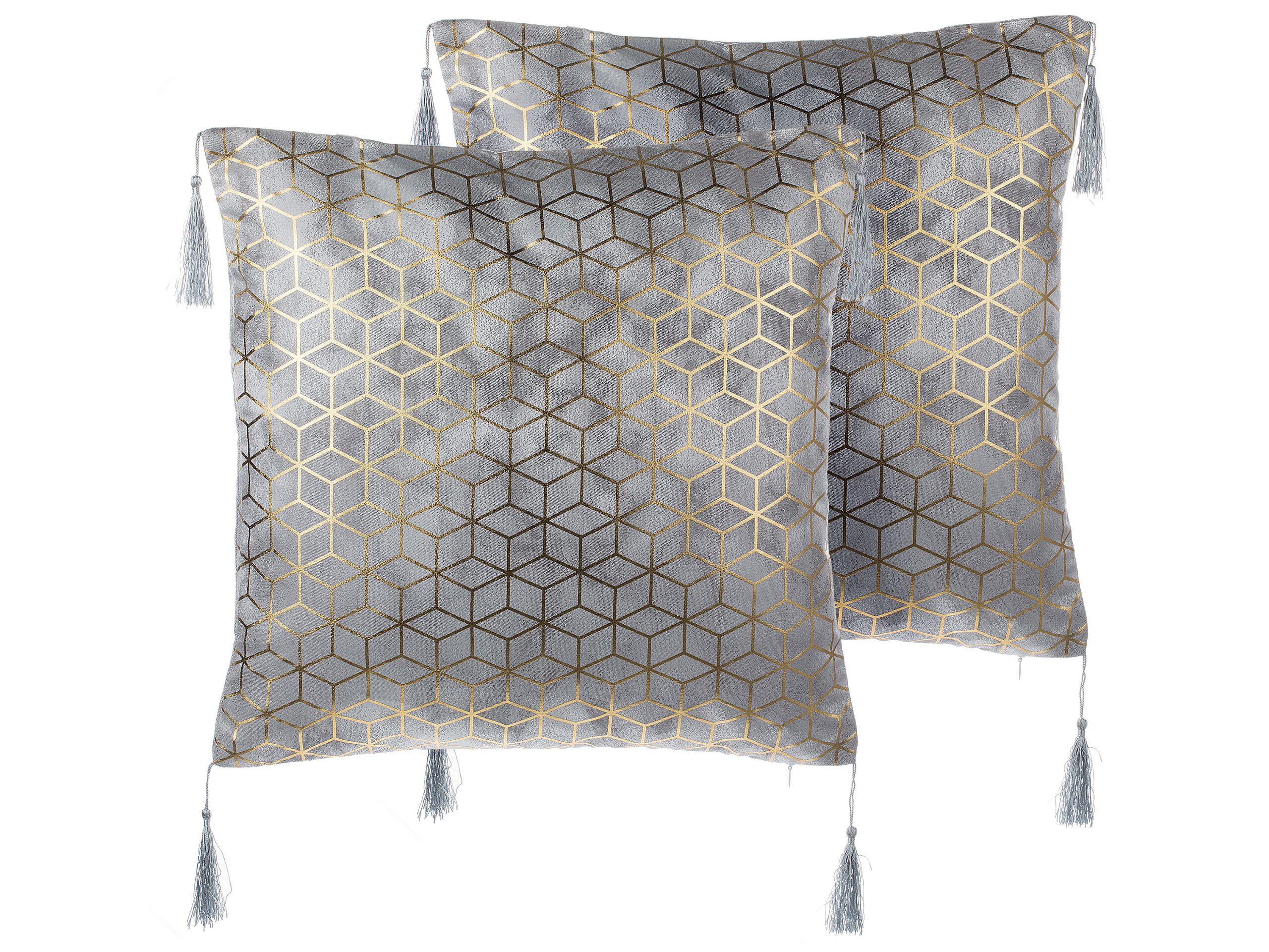 Set of 2 Cushions Geometric Pattern with Tassels 45x45cm Silver - Gemini Interiors