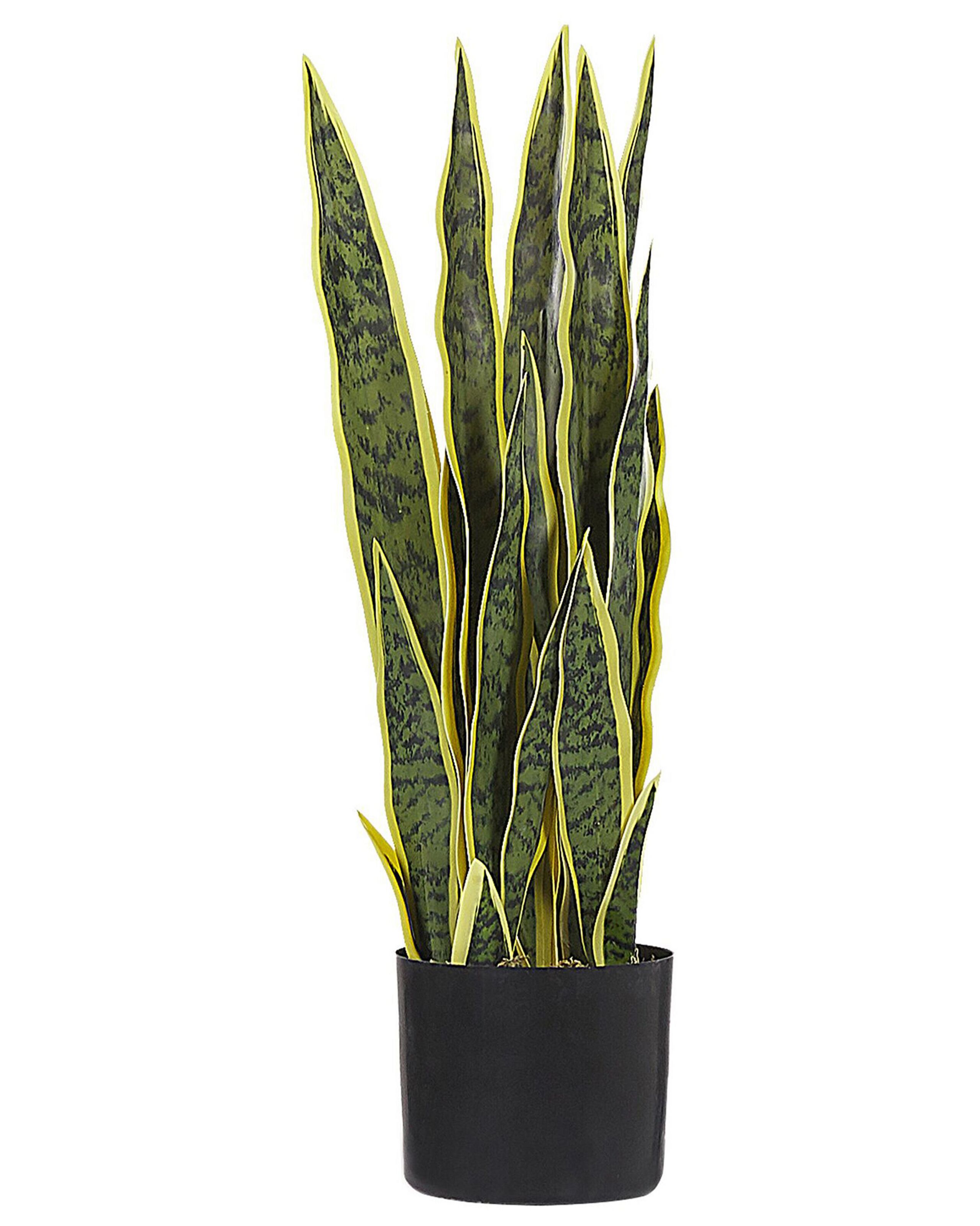 Artificial Potted Plant 63 cm SNAKE PLANT - Gemini Interiors