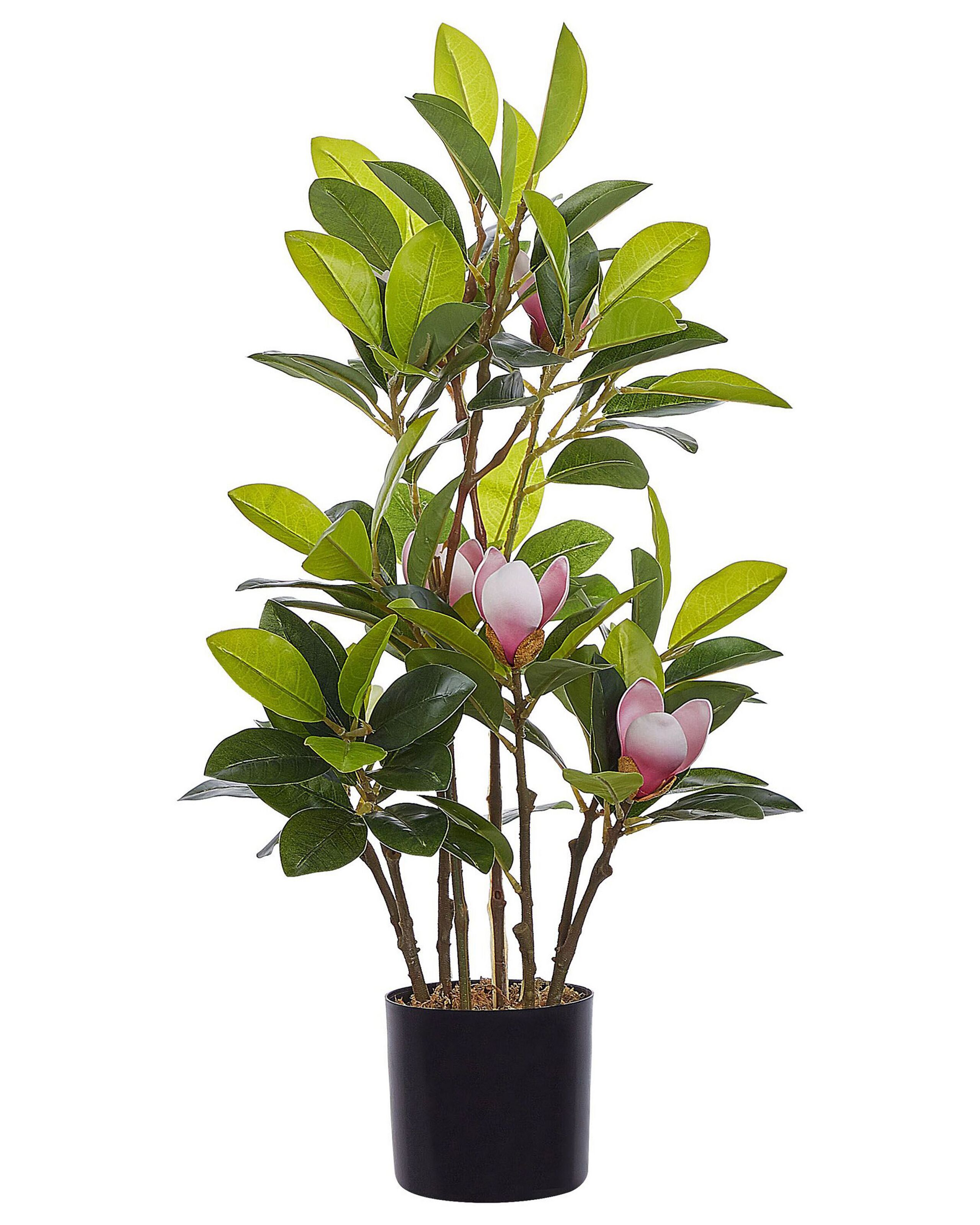 Artificial Potted Plant 70 cm MAGNOLIA - Gemini Interiors