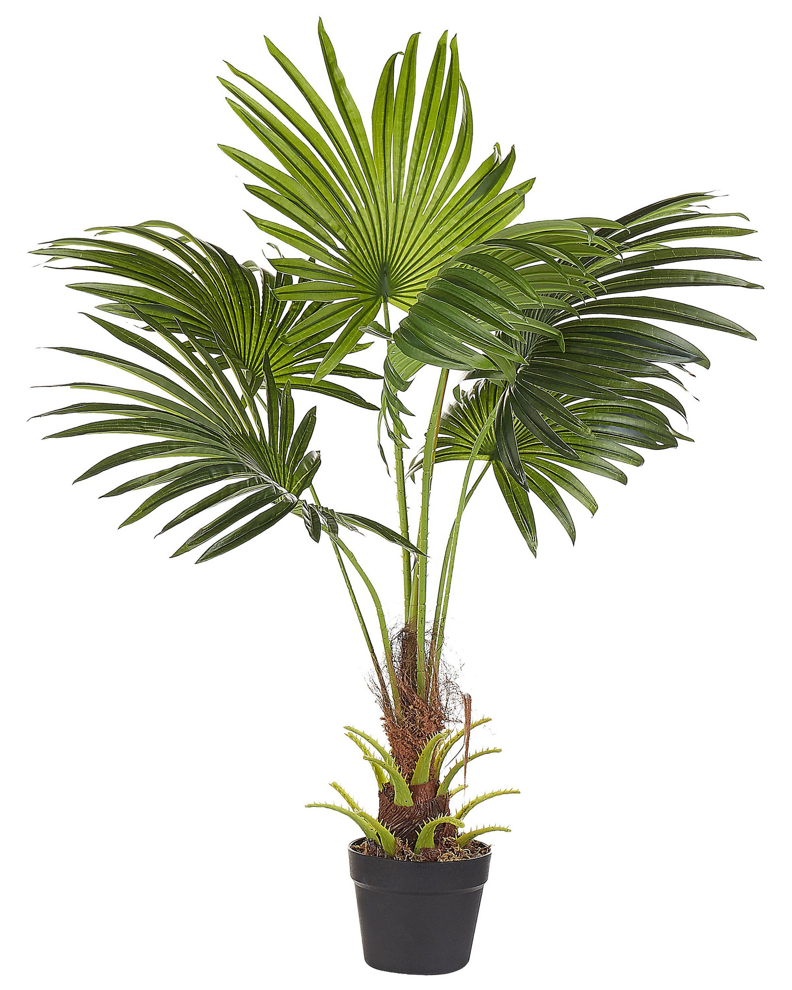 Artificial Potted Plant 100 cm FAN PALM - Gemini Interiors