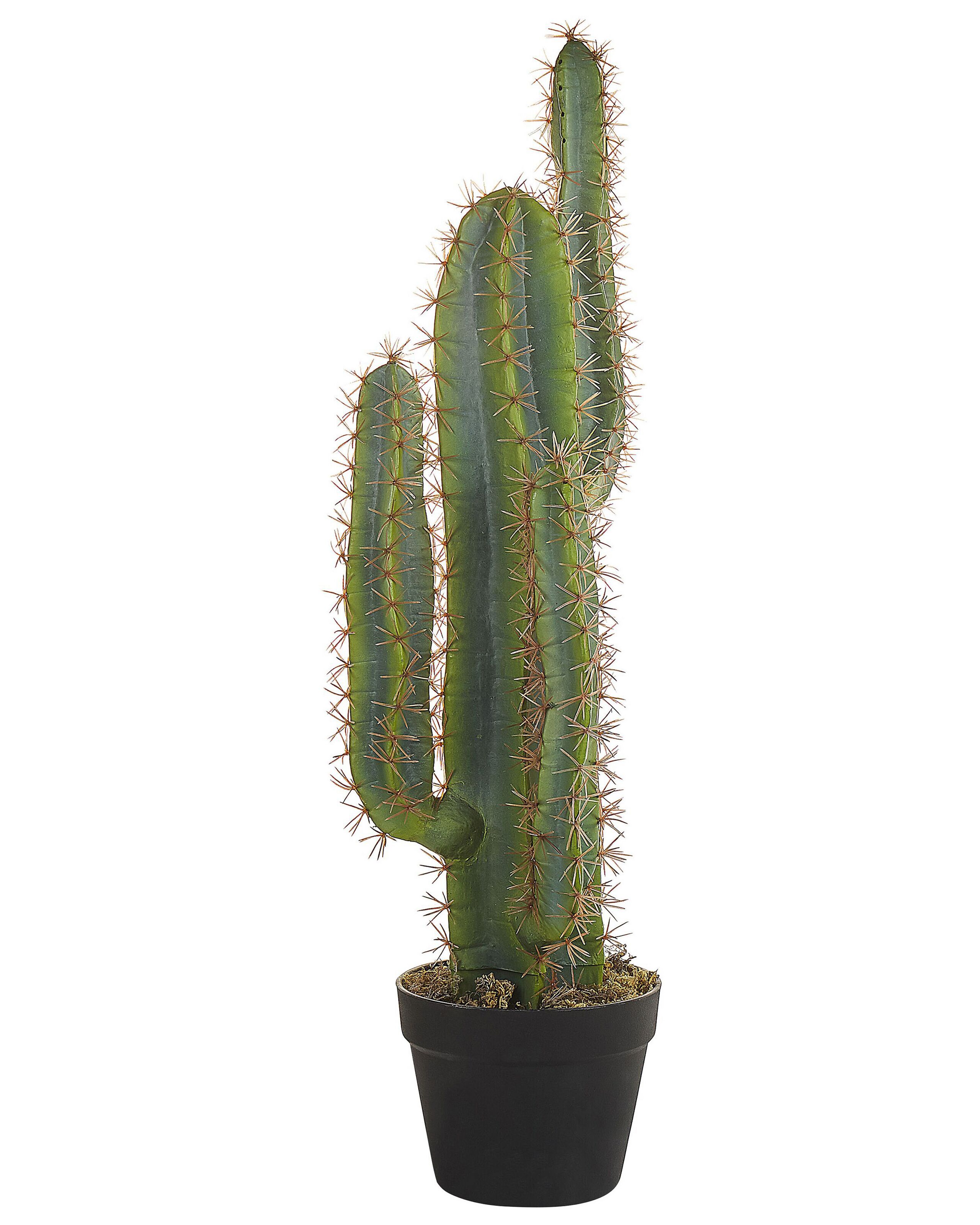 Artificial Potted Plant 78 cm CACTUS - Gemini Interiors