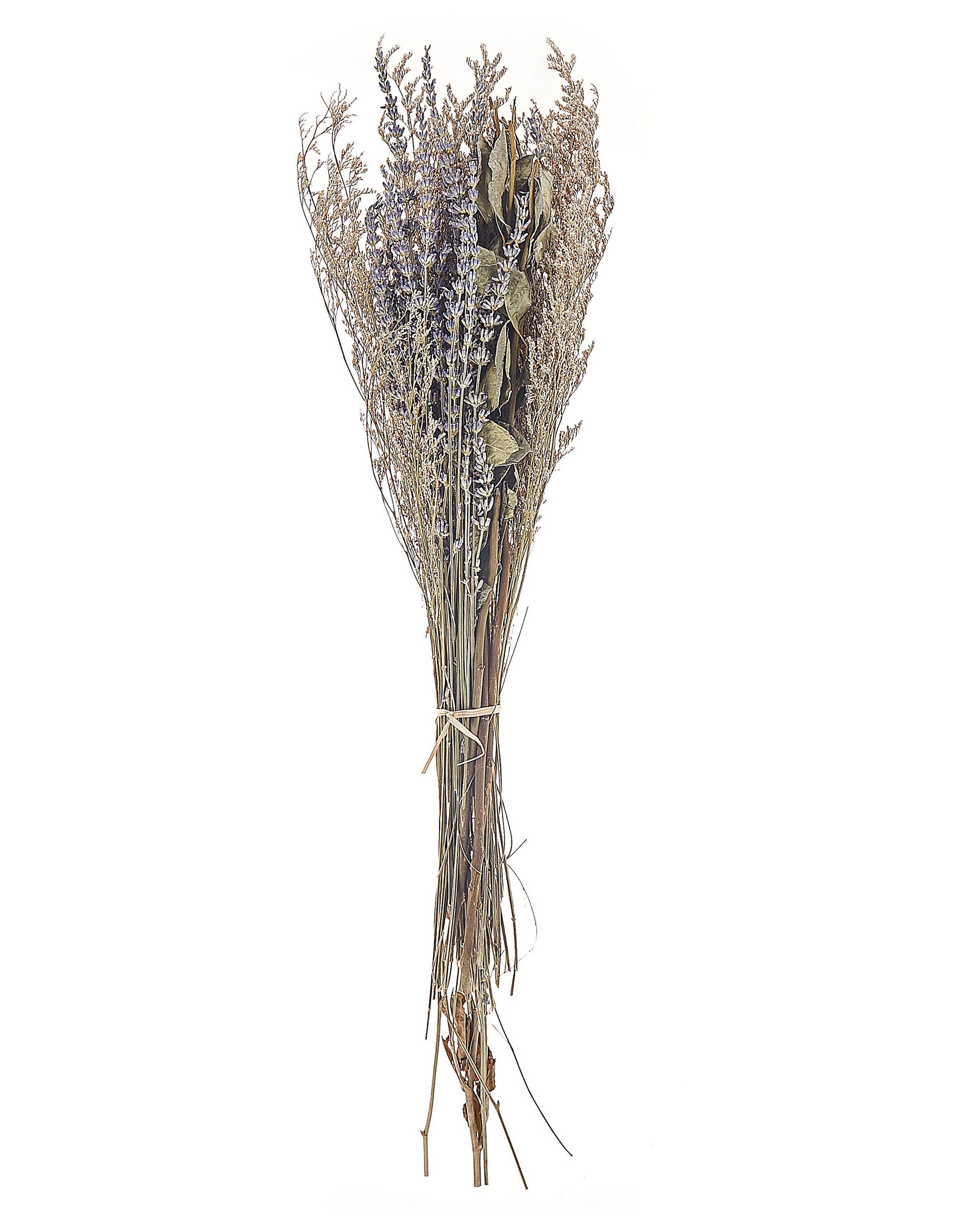 Dried Flower Bouquet 70cm Violet and Green - Gemini Interiors