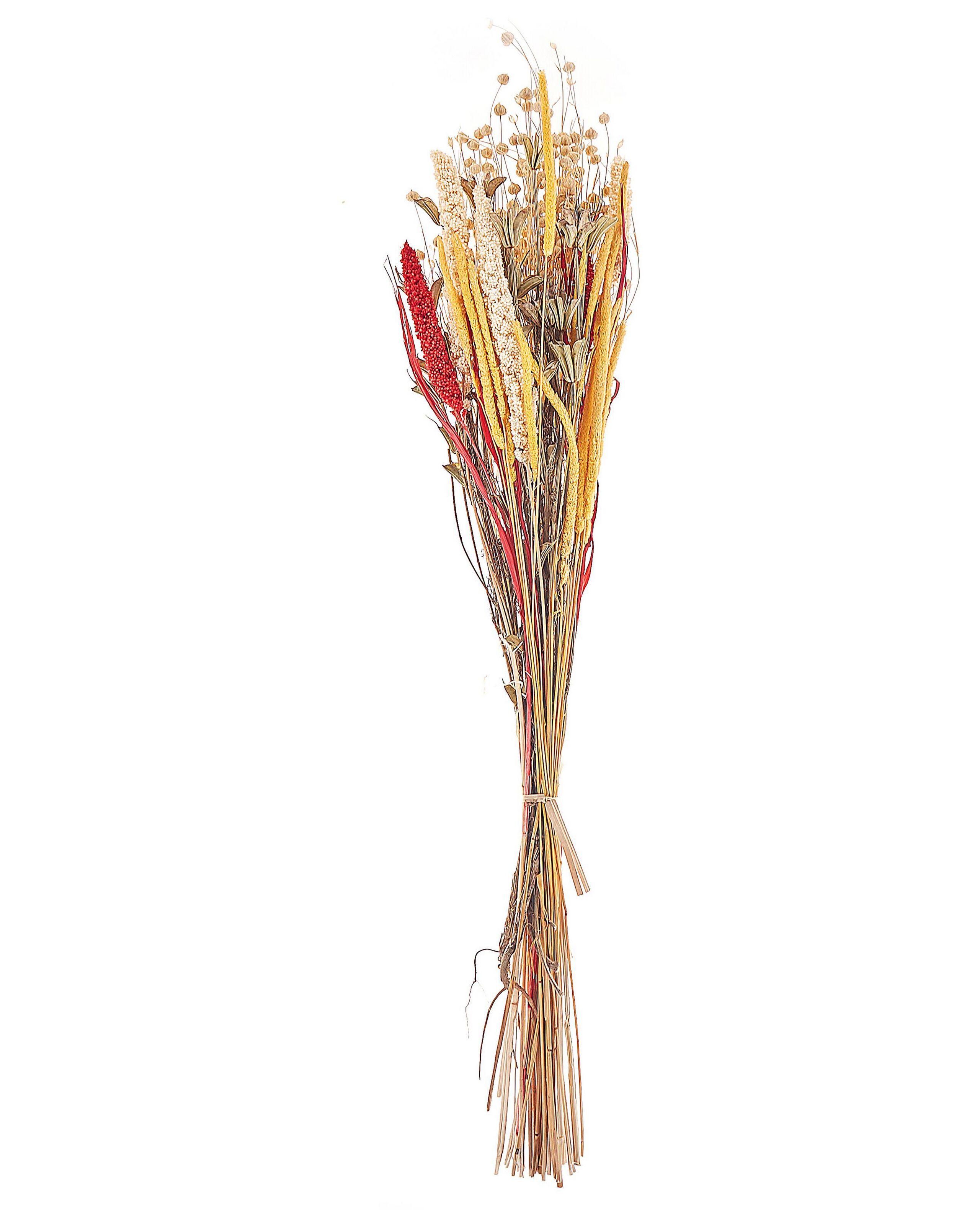 Dried Flower Bouquet 65cm Red and Yellow - Gemini Interiors