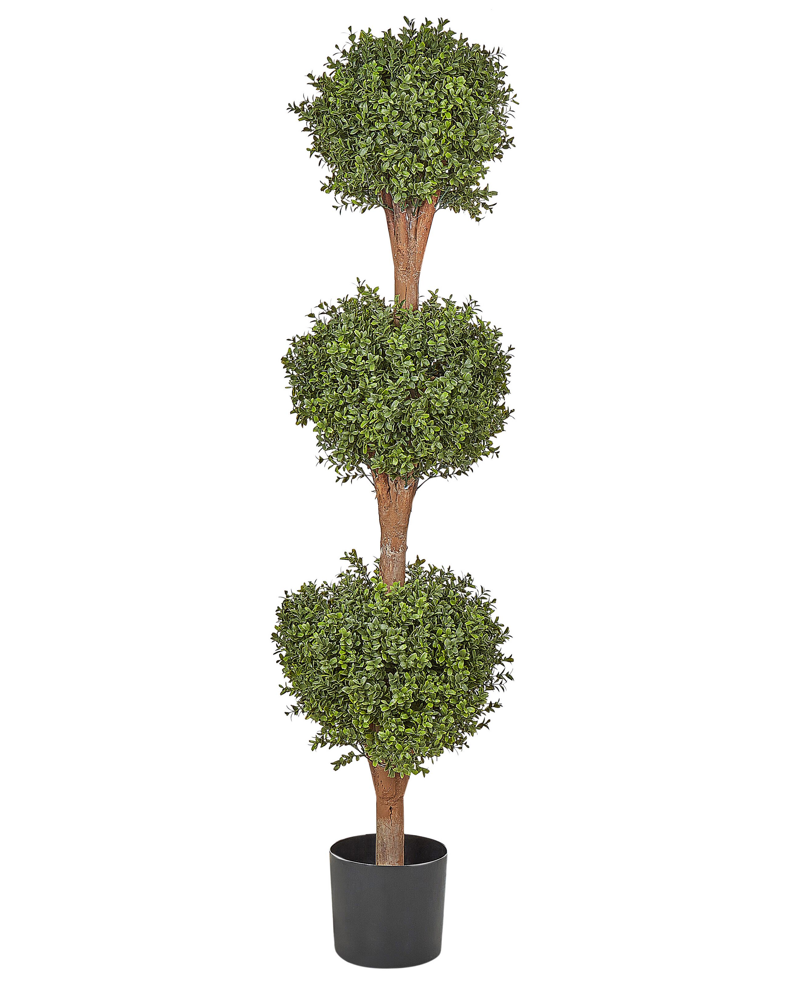 Artificial Potted Plant 154cm BUXUS - Gemini Interiors