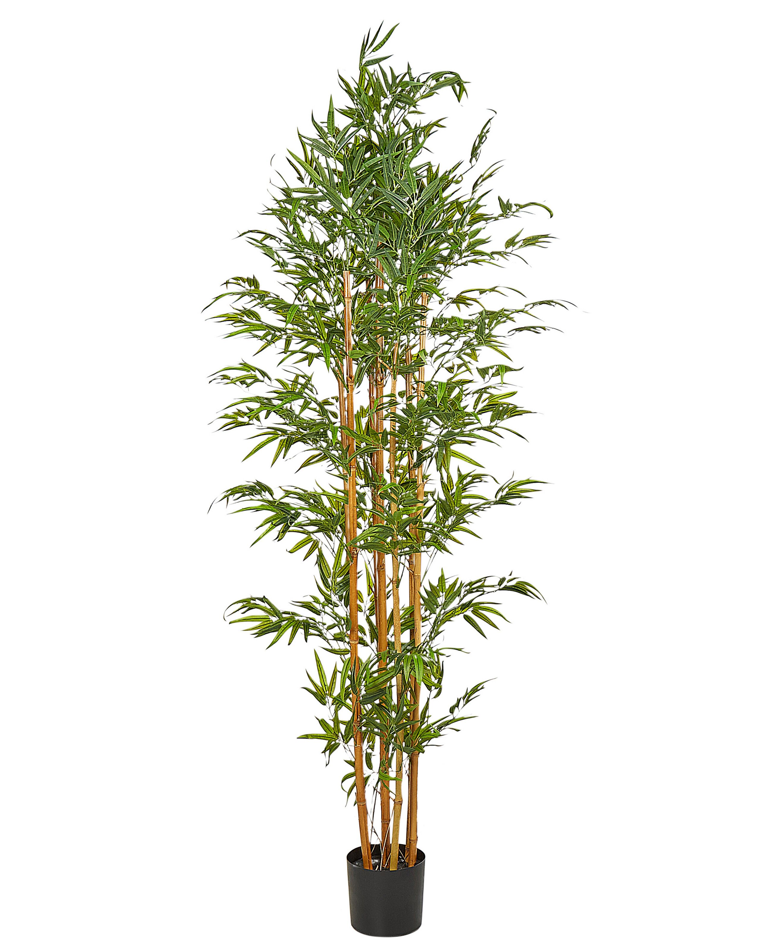 Artificial Potted Plant 220 cm BAMBOO - Gemini Interiors