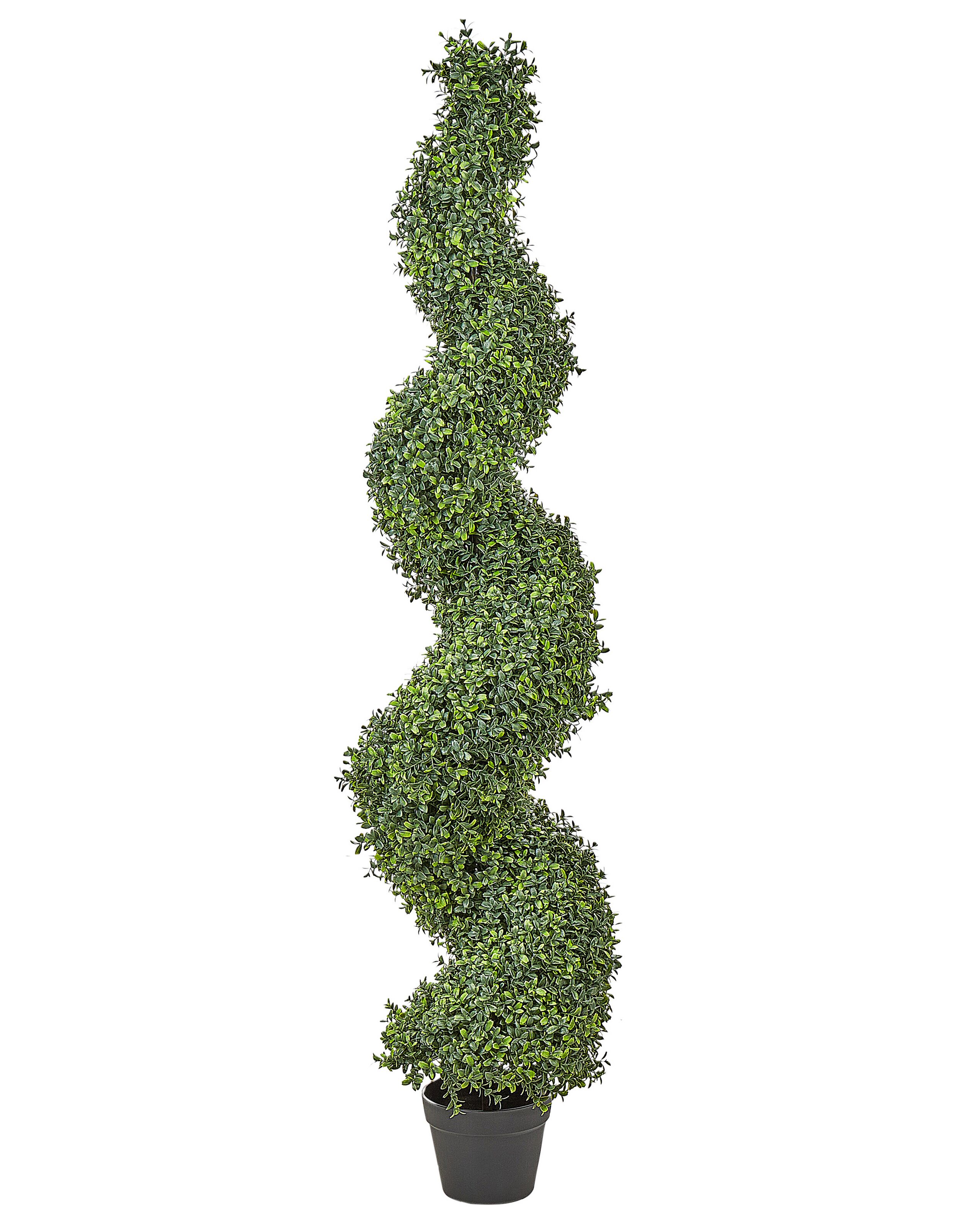 Artificial Potted Plant 158cm BUXUS - Gemini Interiors