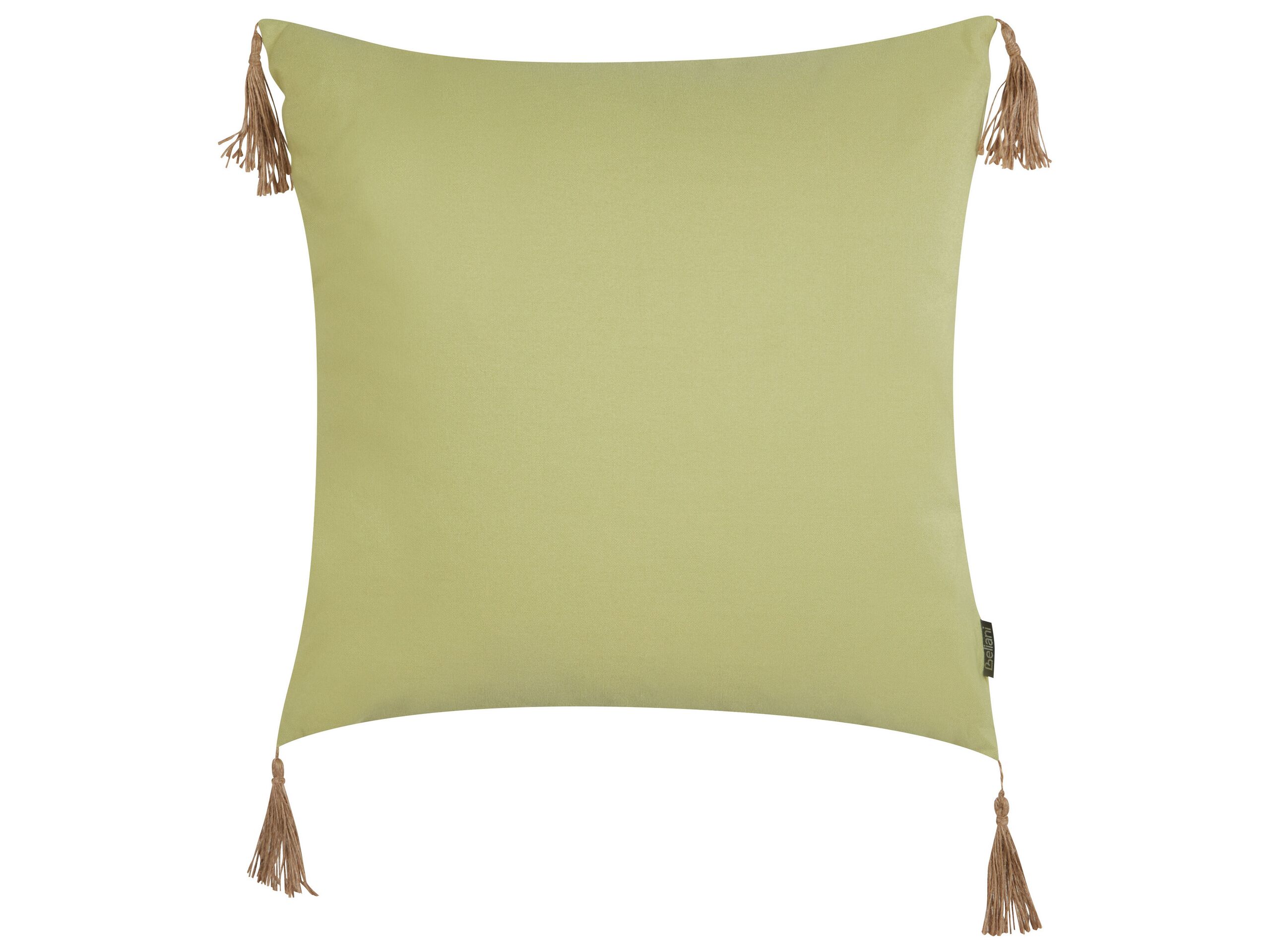 Cushion 45 x 45 cm Green CHMISTAR - Gemini Interiors