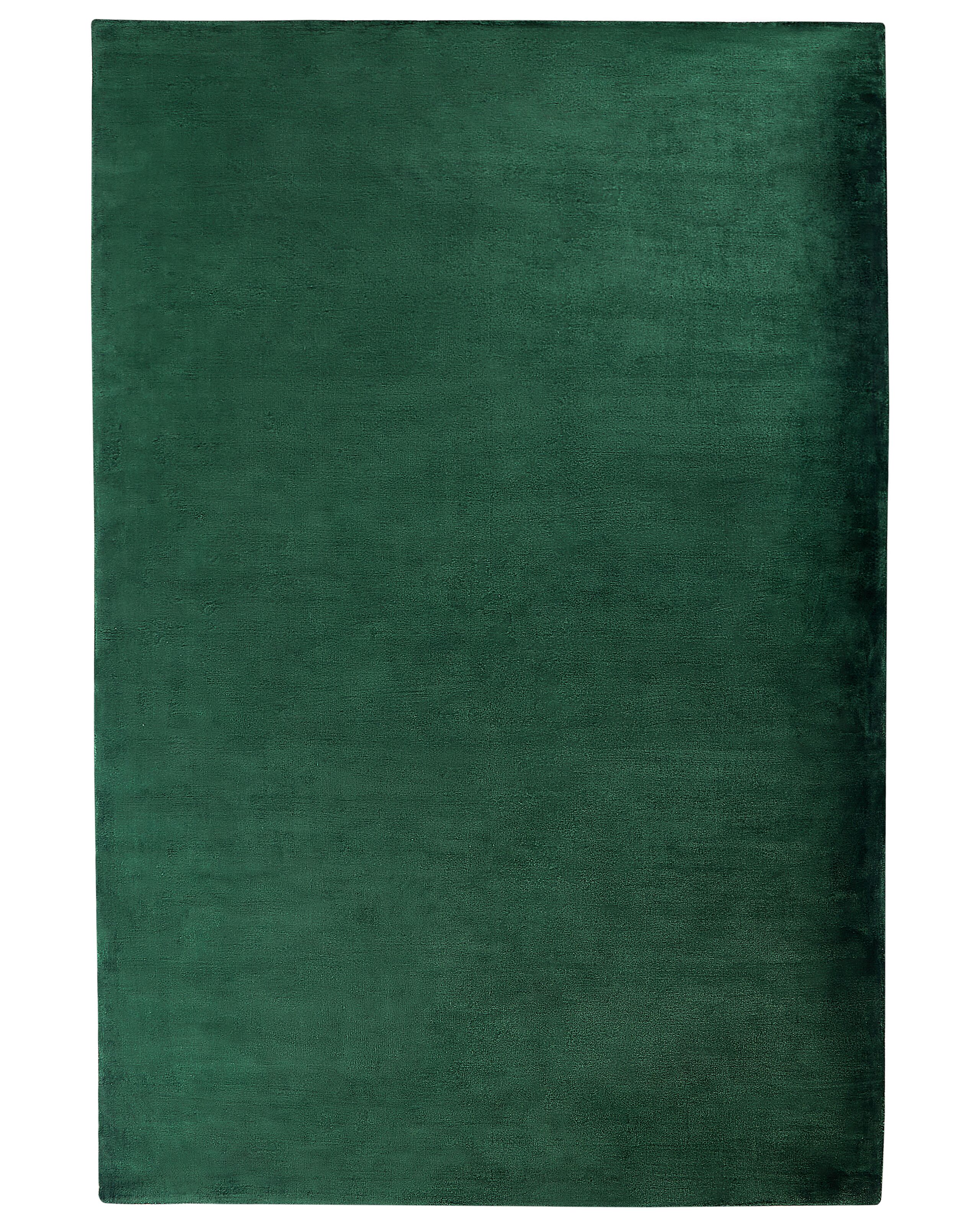 Viscose Area Rug 200x300cm Green - Gemini Interiors