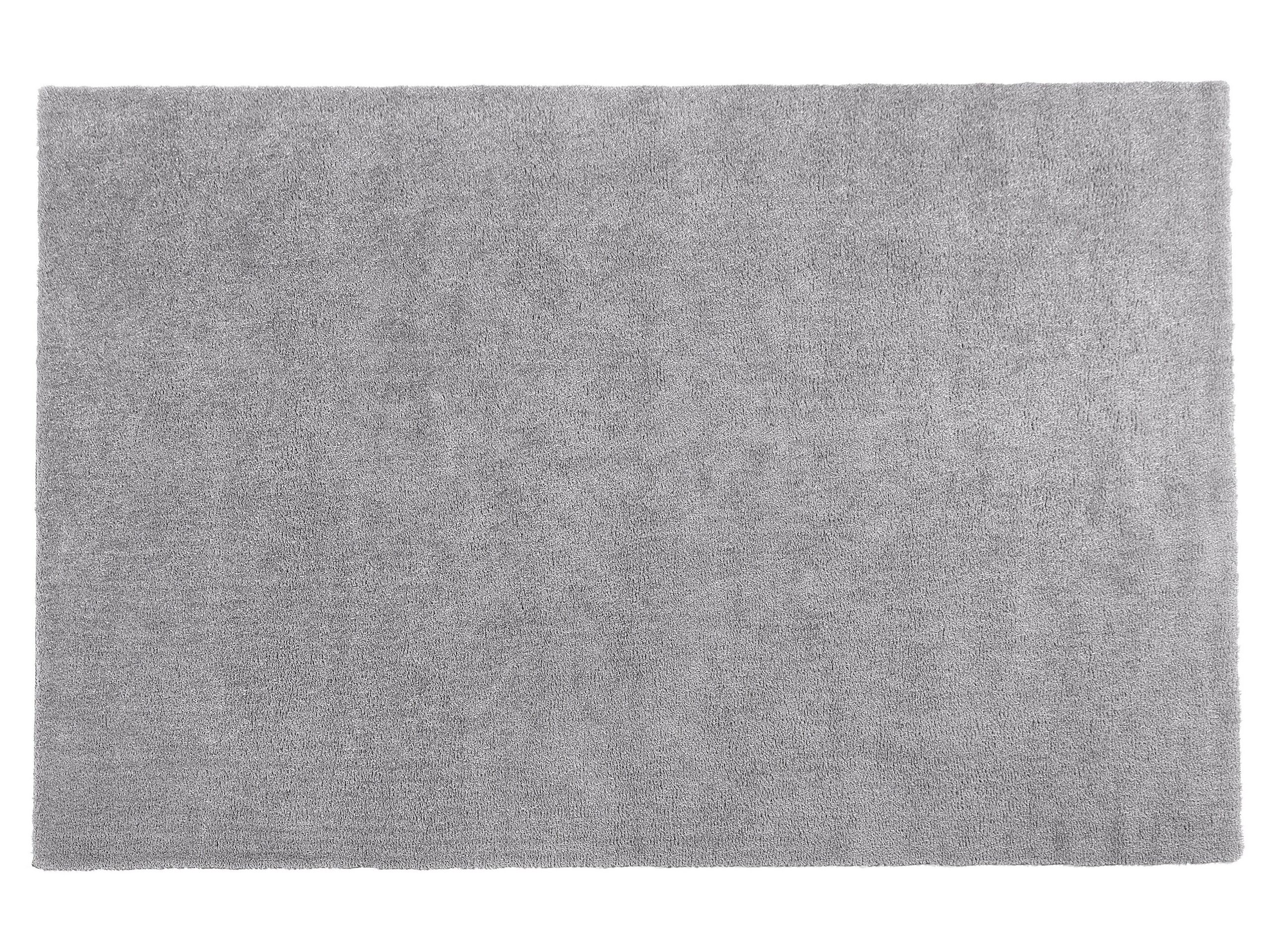 Shaggy Area Rug 200x300cm Light Grey - Gemini Interiors