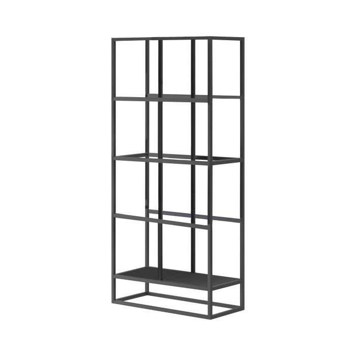 Rene Bookcase Black Metal Frame