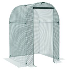SUNVISTA 120 x 120cm Mini Polytunnel Greenhouse